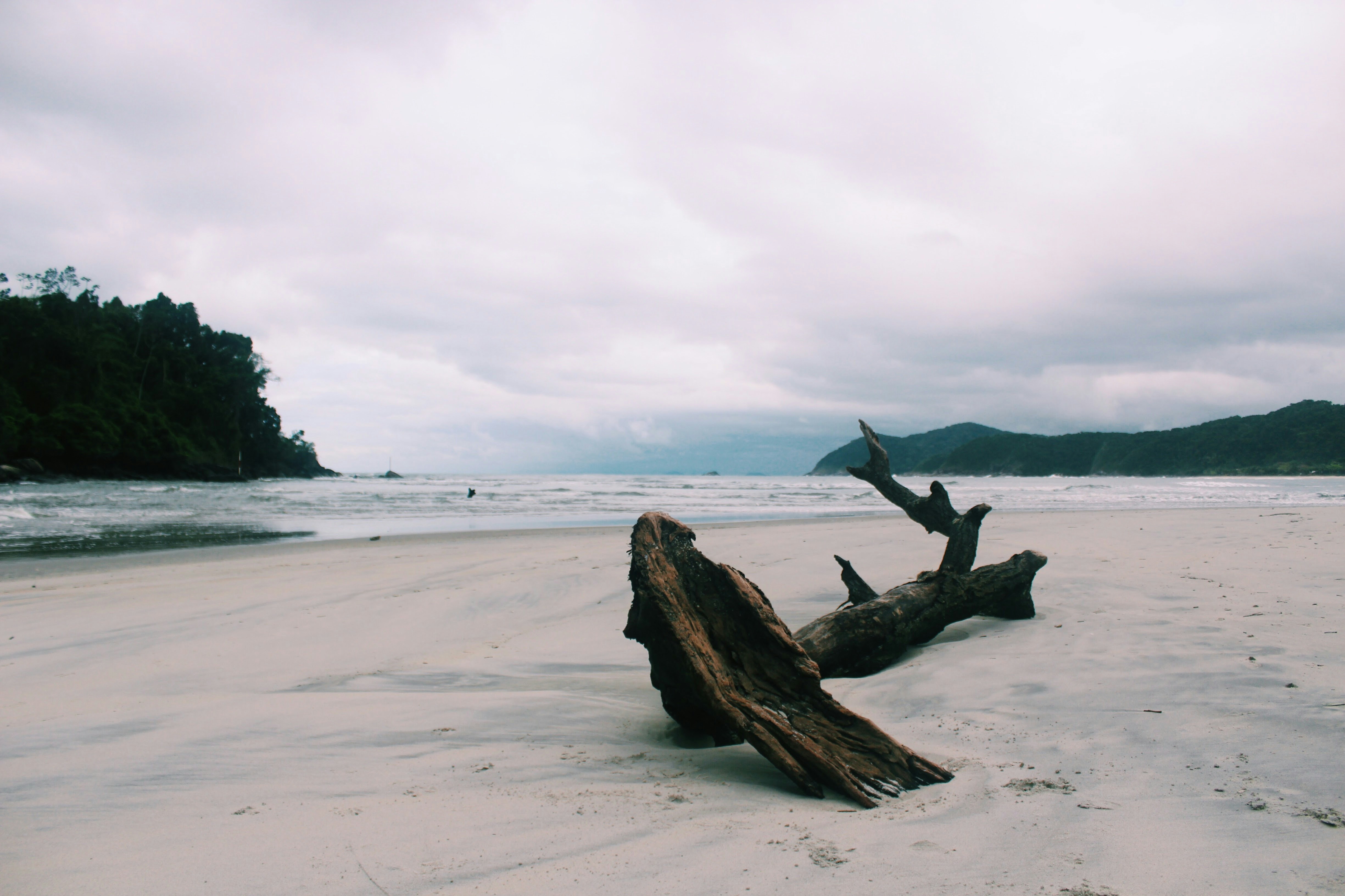 log in seashore