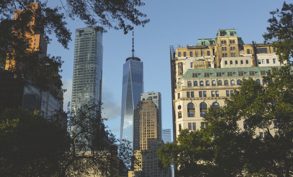 high-rise buildings during day