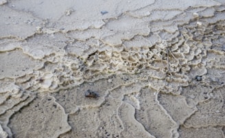 The image shows a close-up view of textured deposits on a surface, likely mineral formations. The patterns are irregular and layered, with a rough, grainy texture. The colors are mostly earth tones, ranging from beige to light brown.