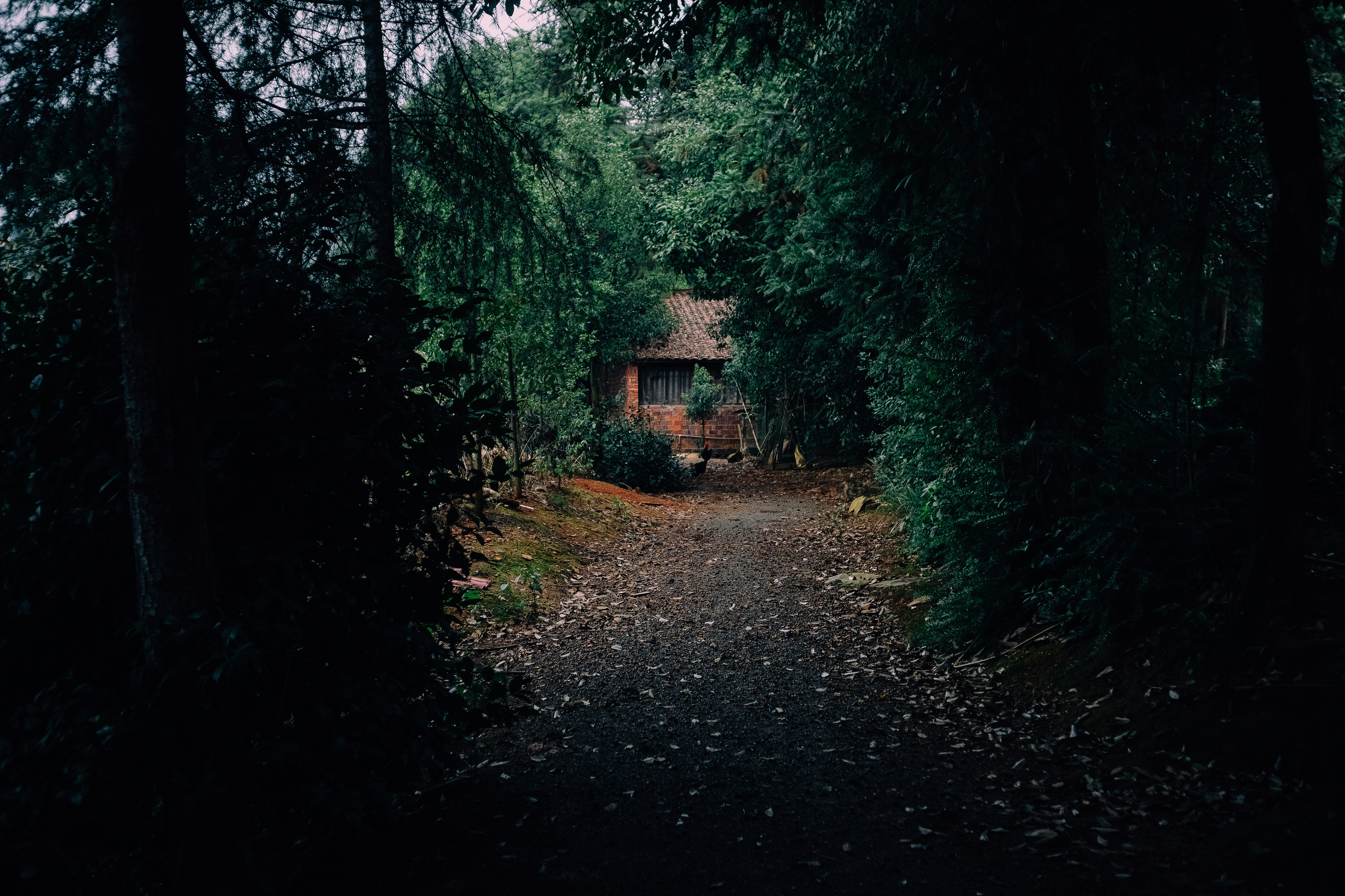 Photo by invisibledragon