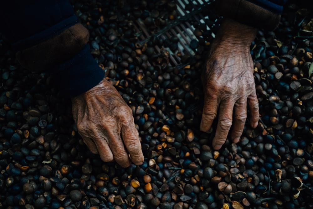 human hands holding stone