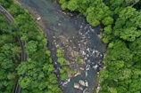Cinematic aerial view of a winding river cutting through a dense forest.