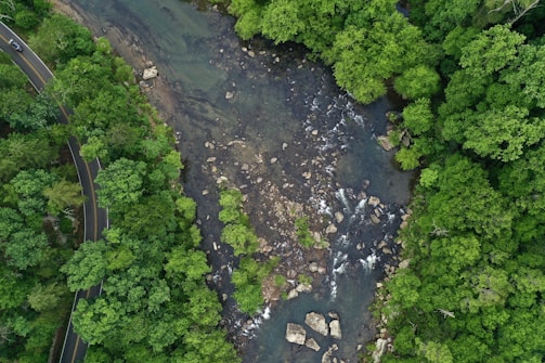 Aerial shot of a winding river cutting through a dense forest.