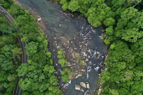 Cinematic aerial view of a winding river cutting through a dense forest.