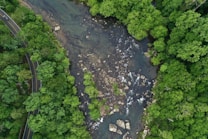 An aerial view of a winding river cutting through a dense forest. The trees are lush and green, surrounding the rocky riverbed. A road with a vehicle is visible on the left, bordered by trees.
