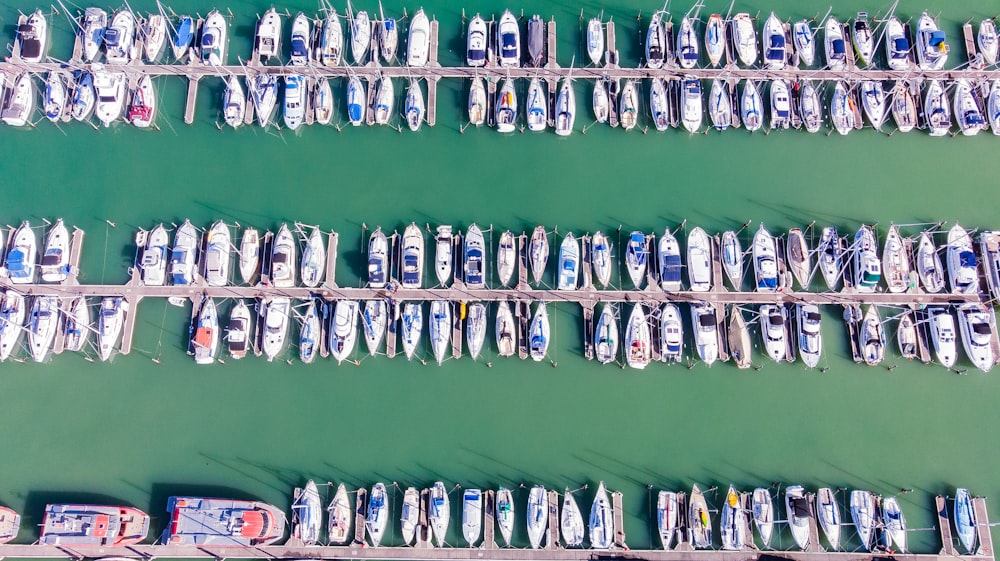 assorted-color yachts on sea