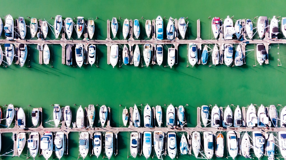 aerial photography of boats