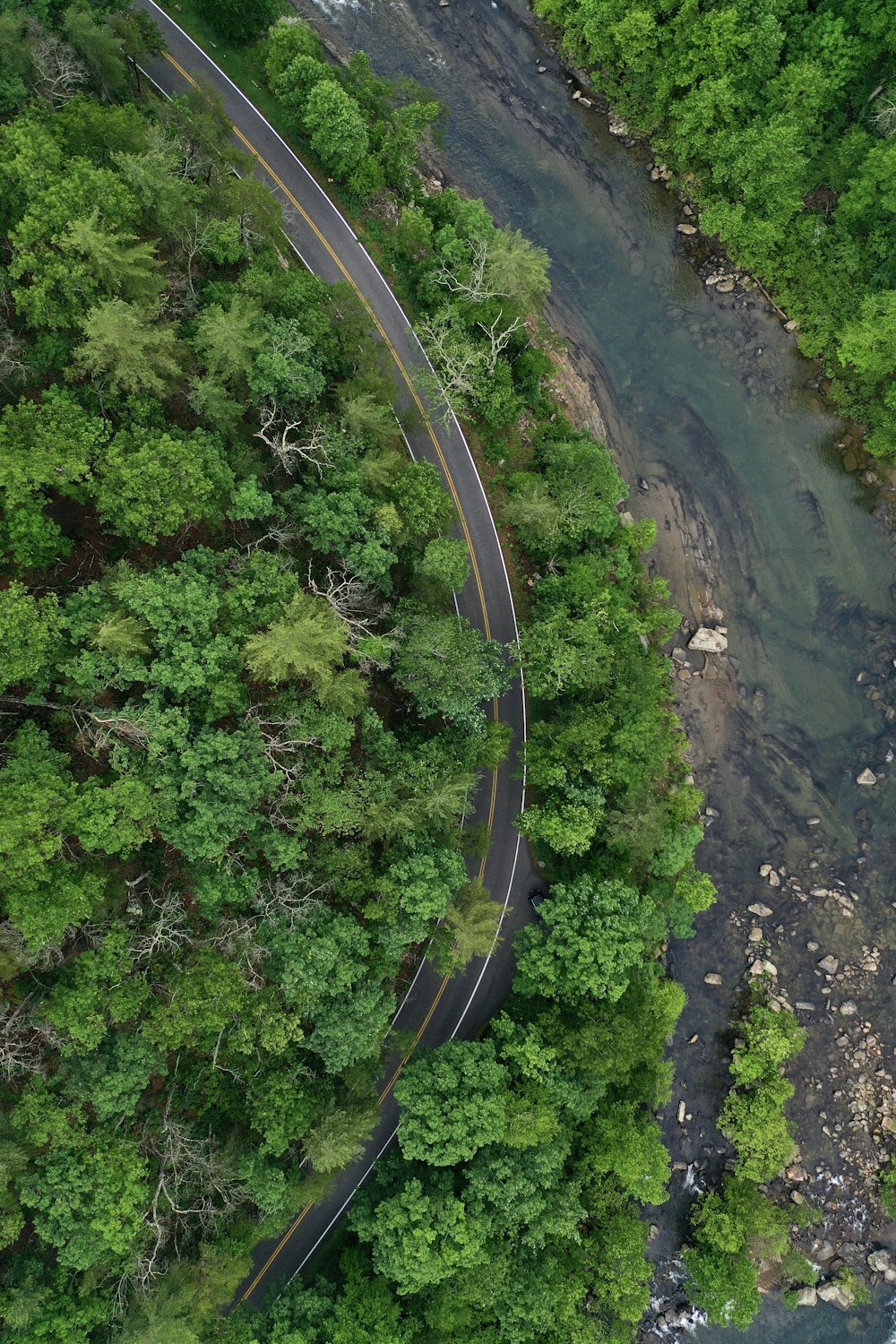 aerial photography of road beside river