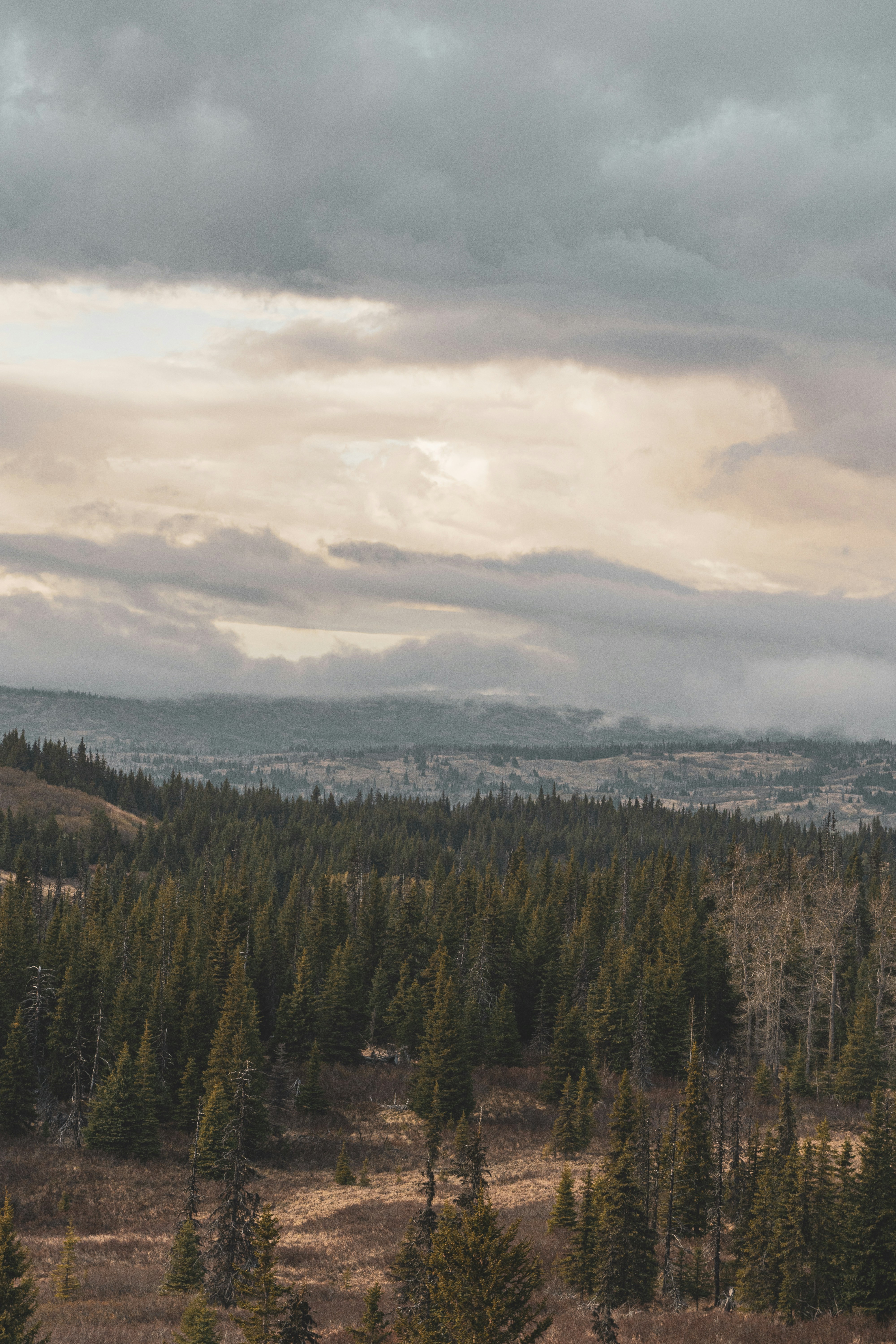 Photo by jaronmobley