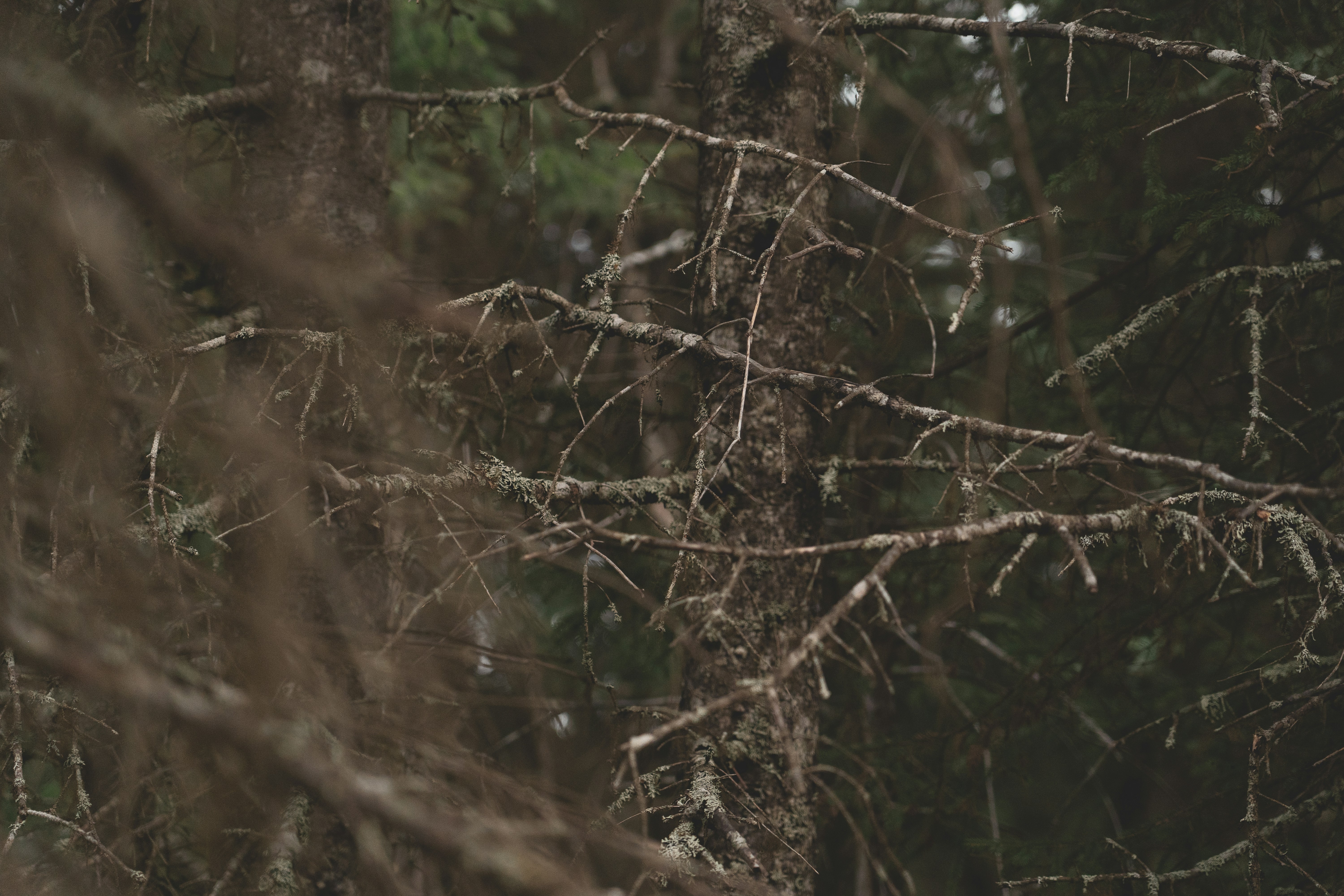 Photo by jaron_mobley