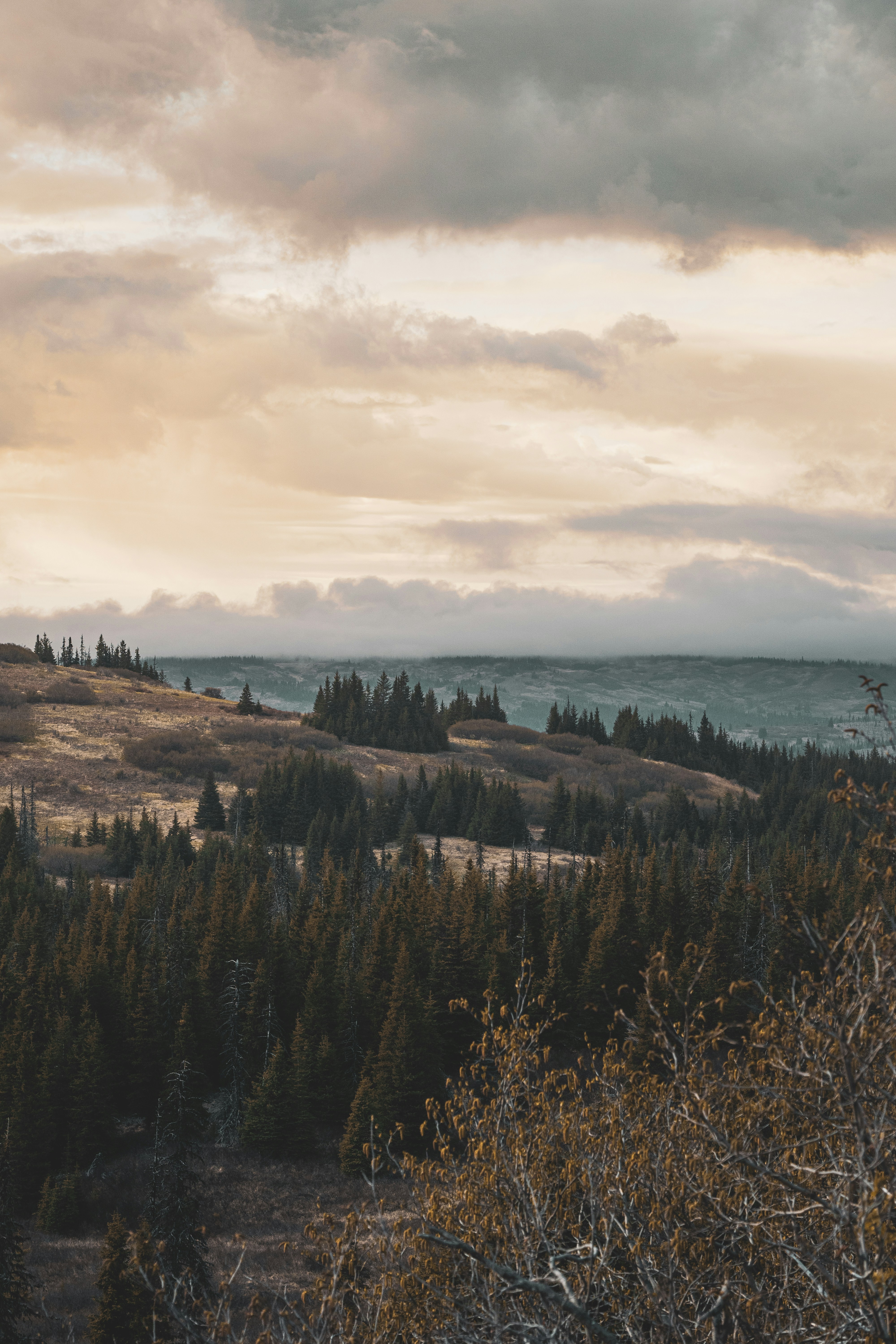 Photo by jaronmobley