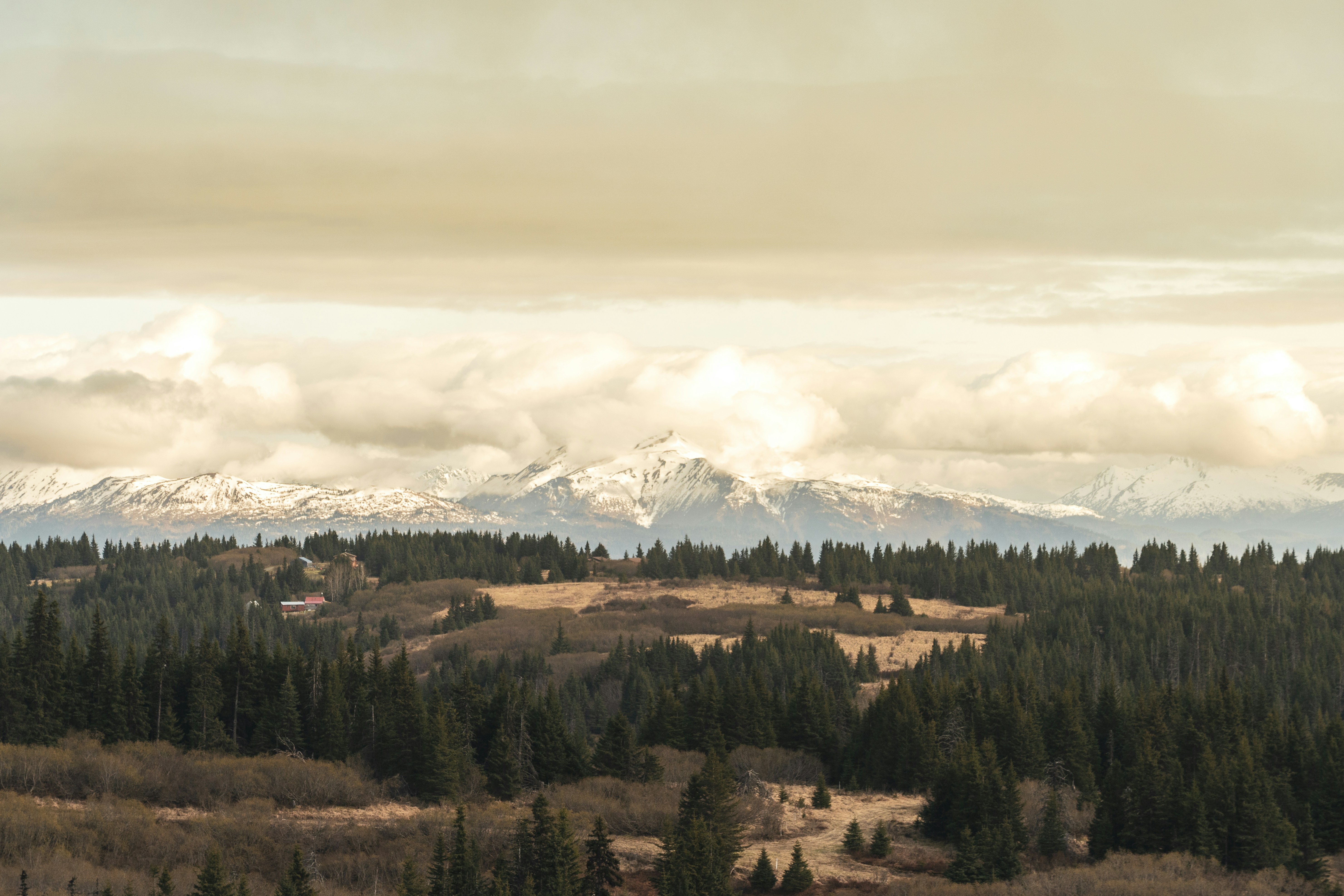 Photo by jaron_mobley