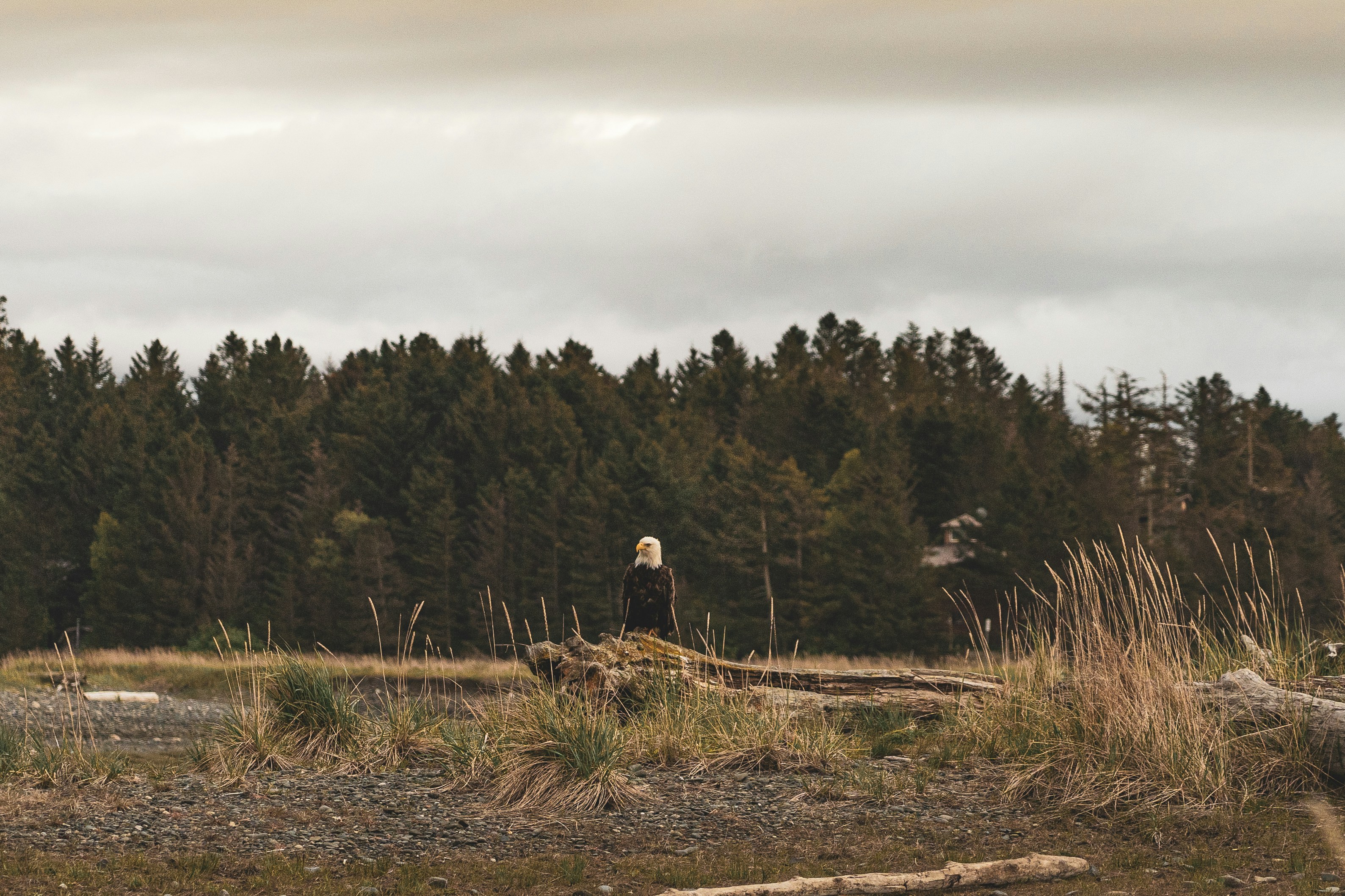 Photo by jaron_mobley