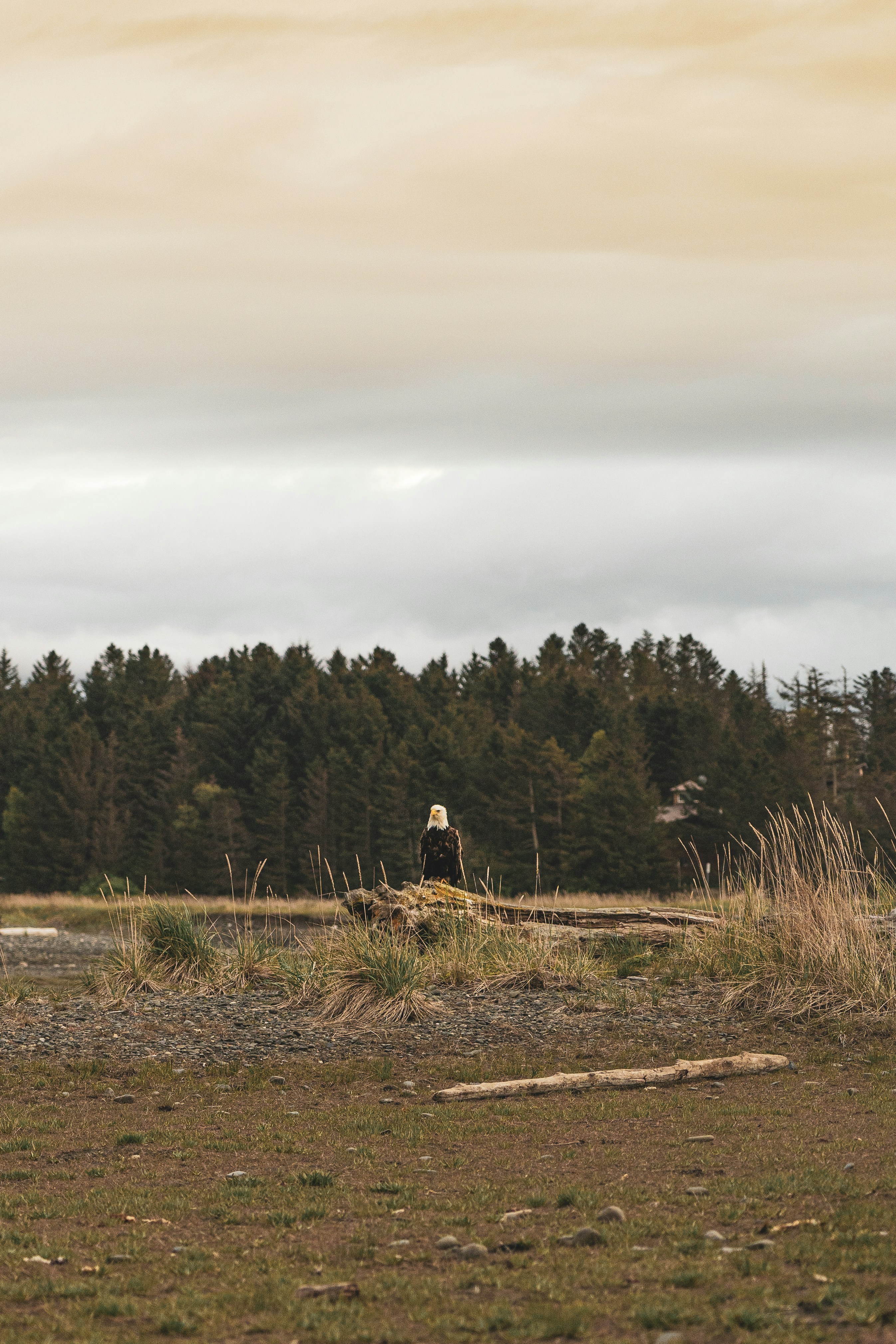 Photo by jaron_mobley