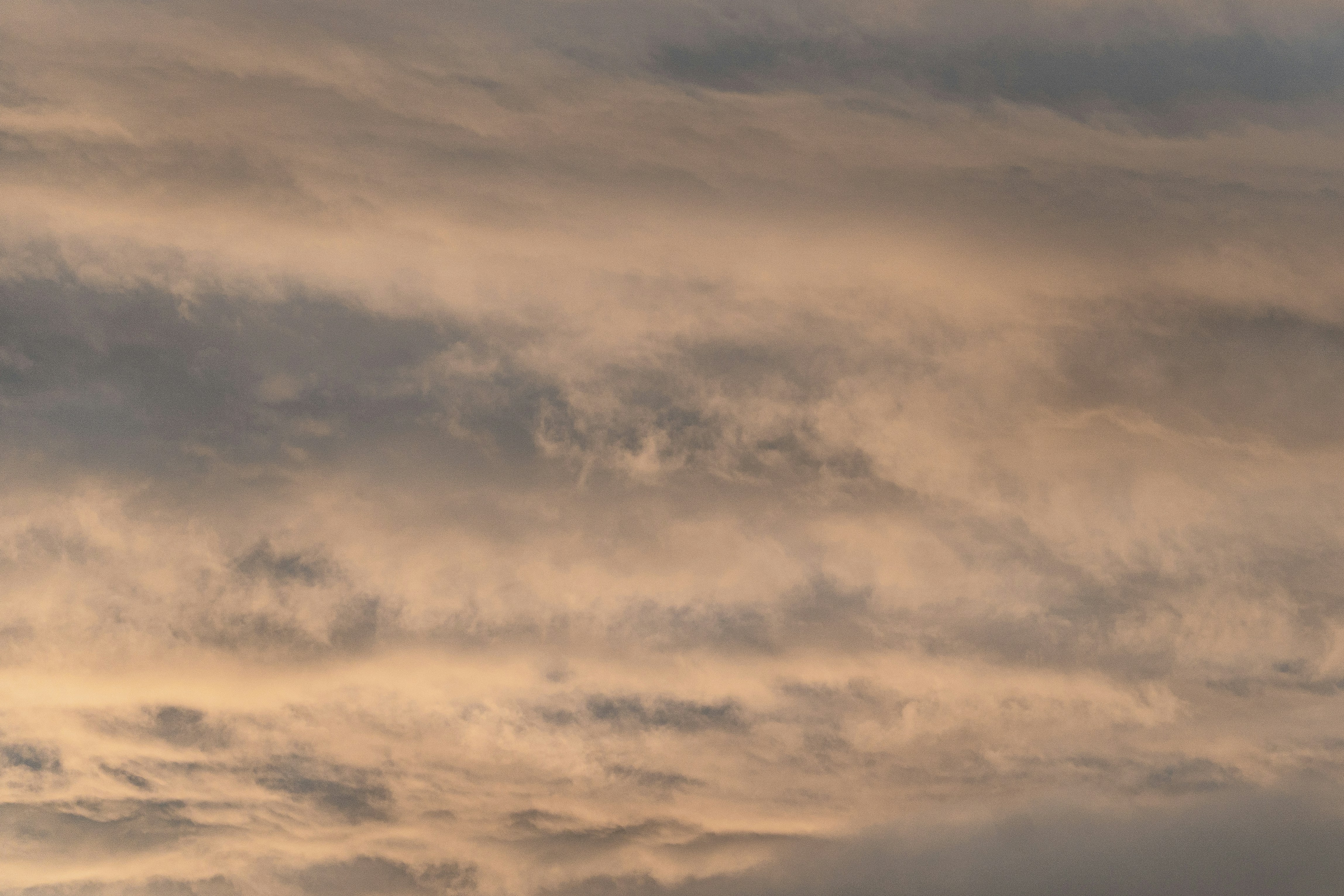 Photo by jaron_mobley