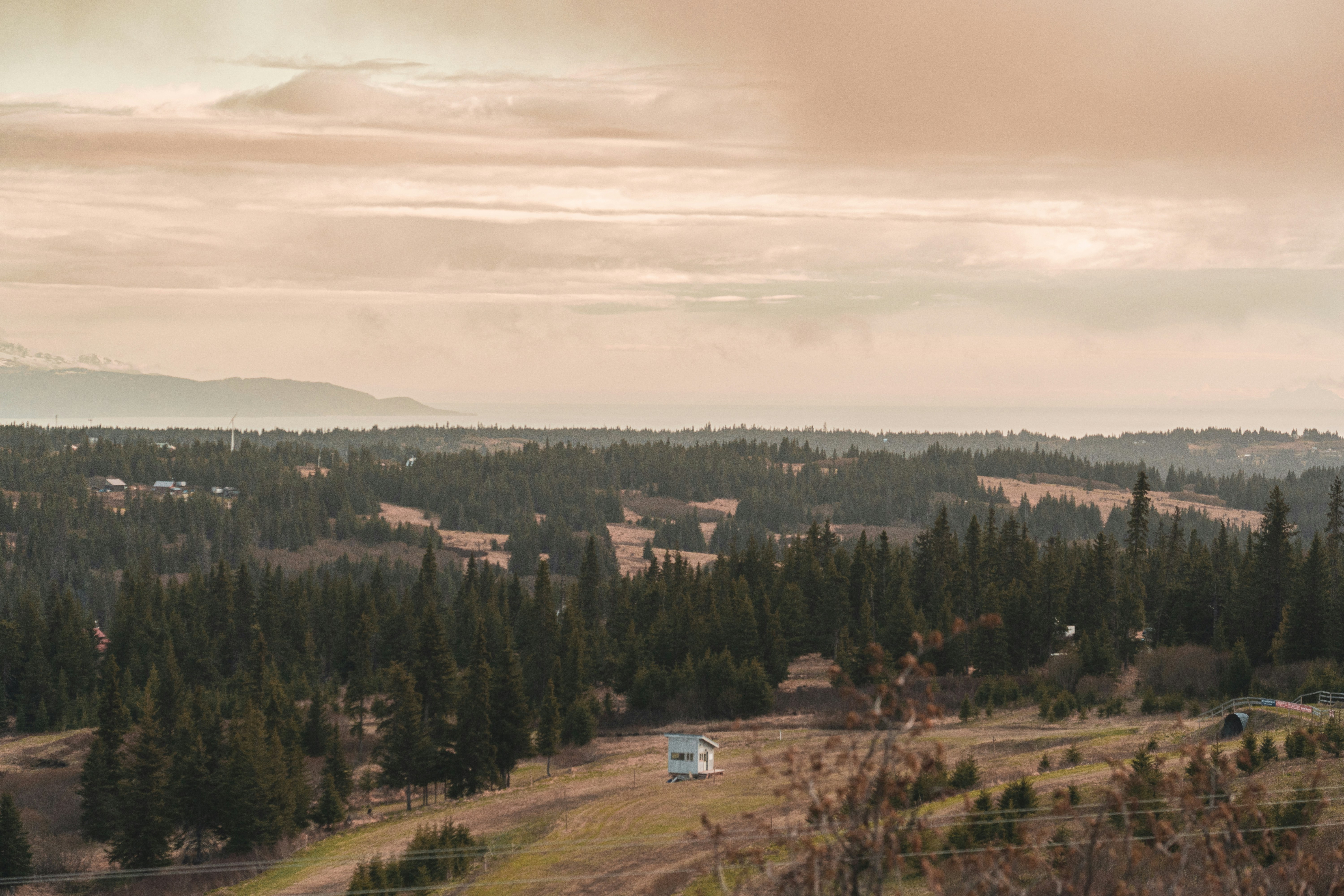 Photo by jaron_mobley