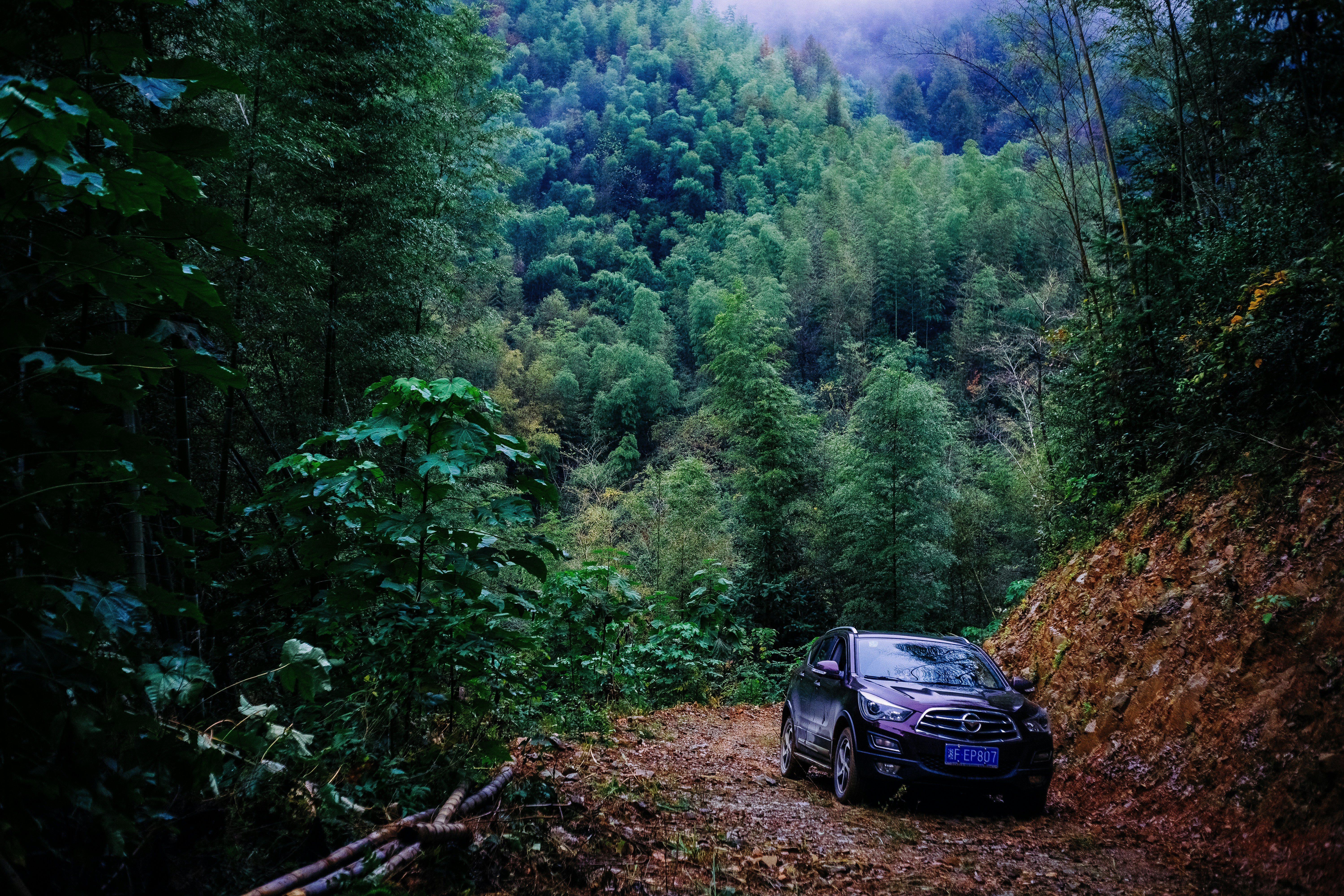 Photo by invisibledragon