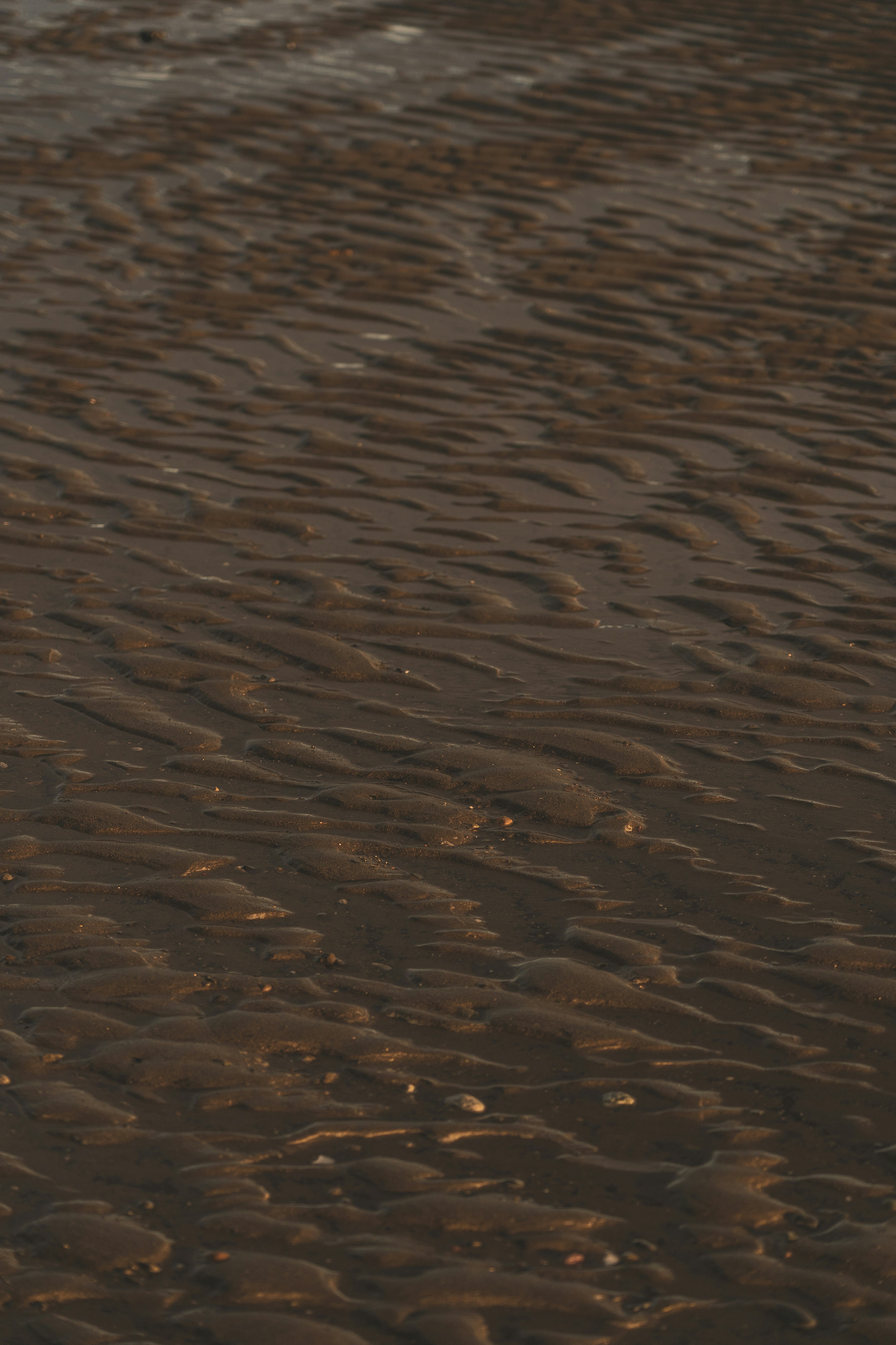 Photo by jaron_mobley