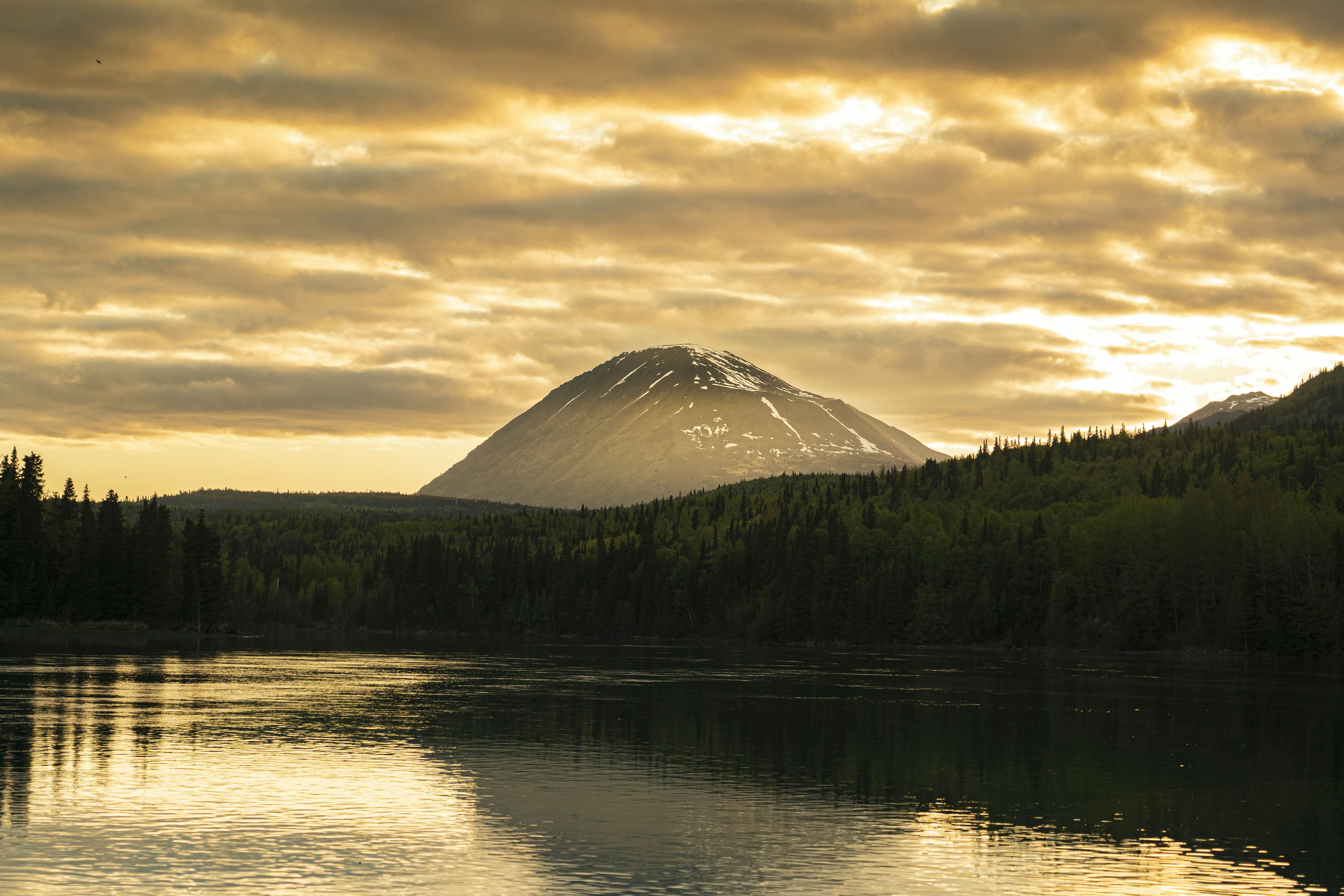 body of water beside trees