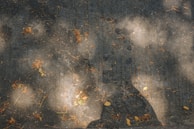 A textured concrete surface scattered with dry leaves and illuminated by random patches of sunlight. The play of light and shadow creates contrasting areas of brightness against the dark gray of the concrete.