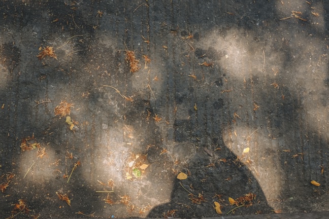 Hands applying decorative textures to a fresh sidewalk surface in natural light.
