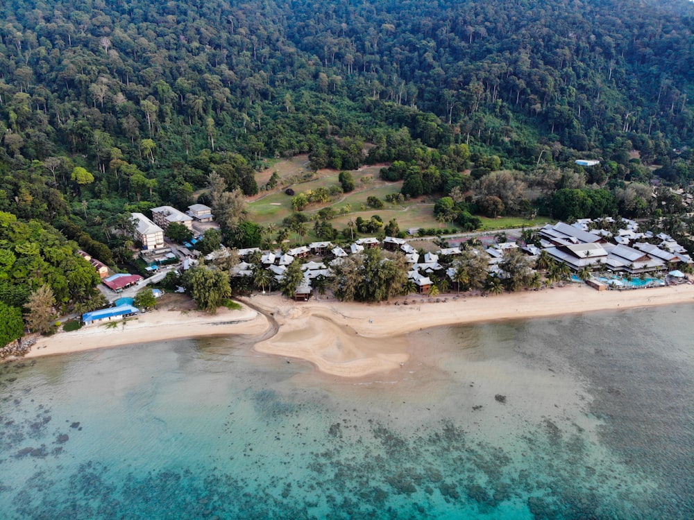 bird's eye view photography of beach line