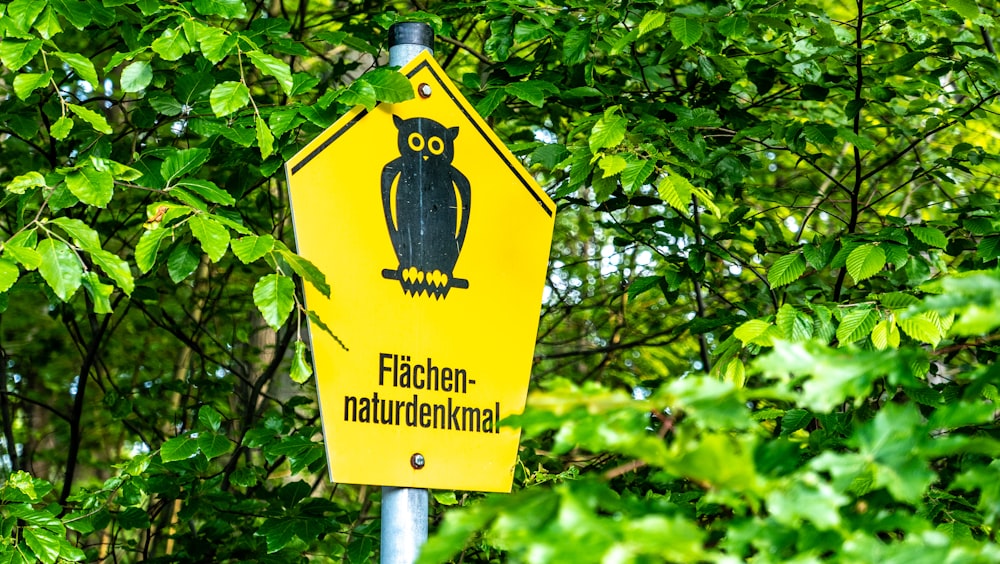 yellow signage