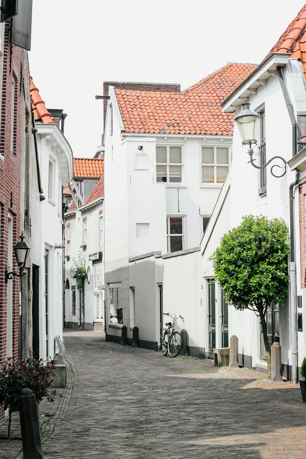 empty road between white concrete houses