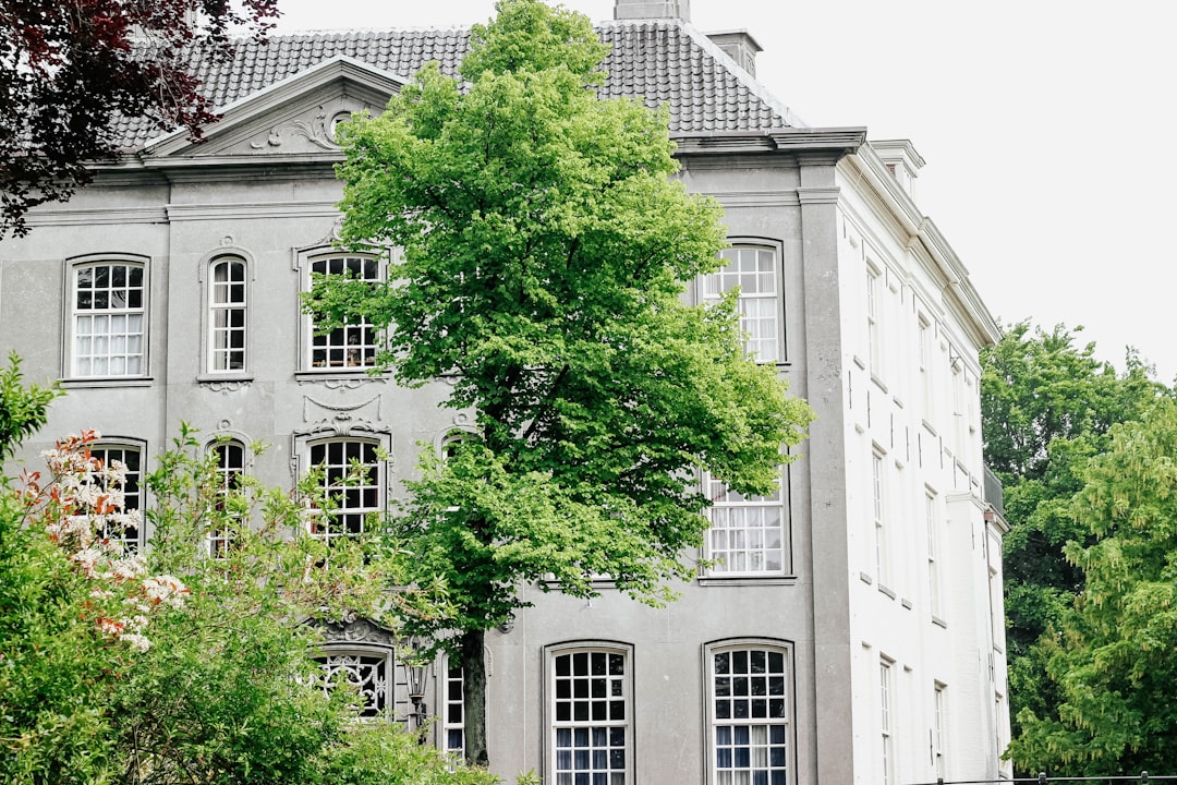 green leafed tree near building