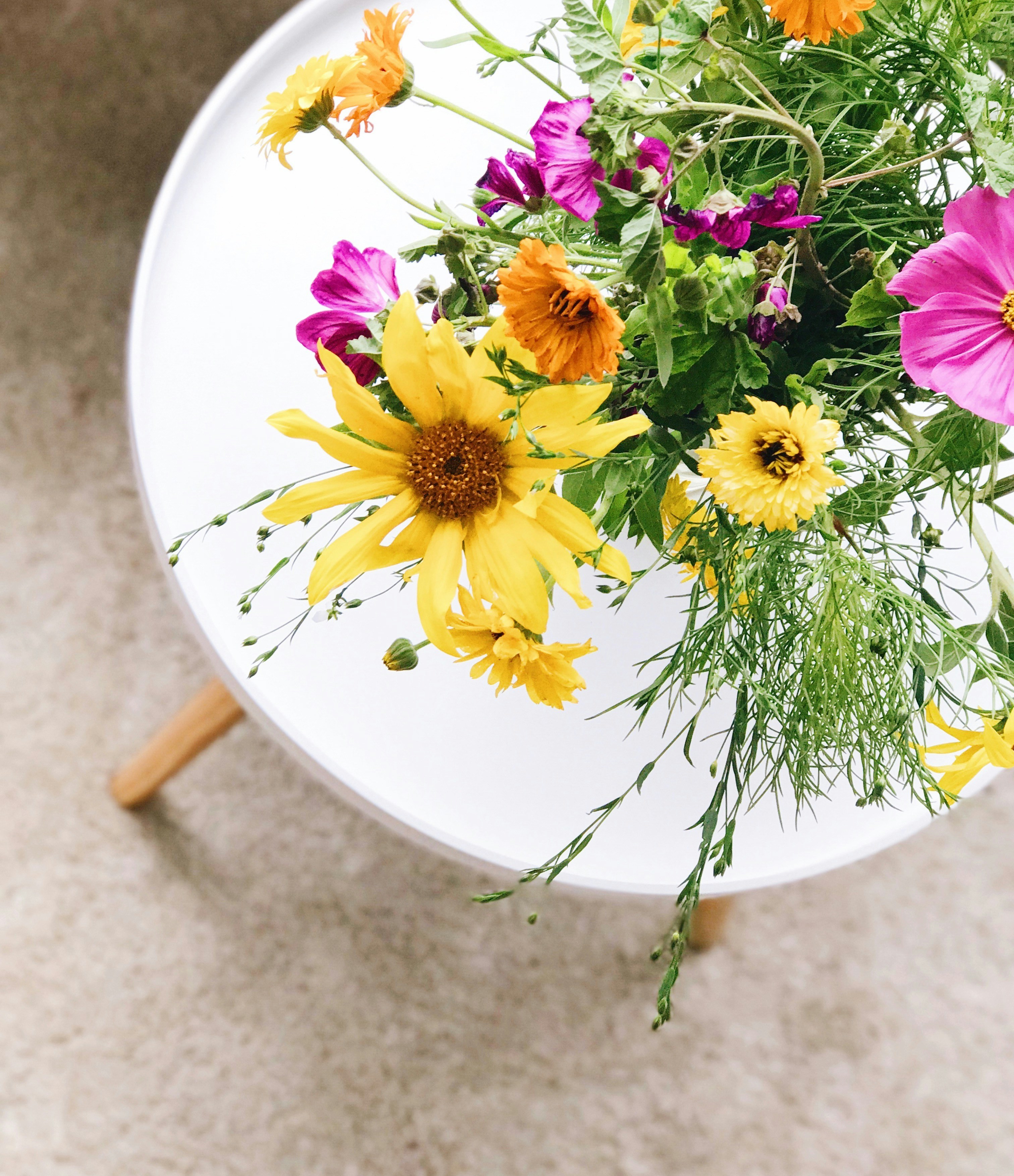 Photo by charlotablunarova