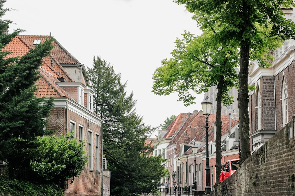 green trees beside buildings