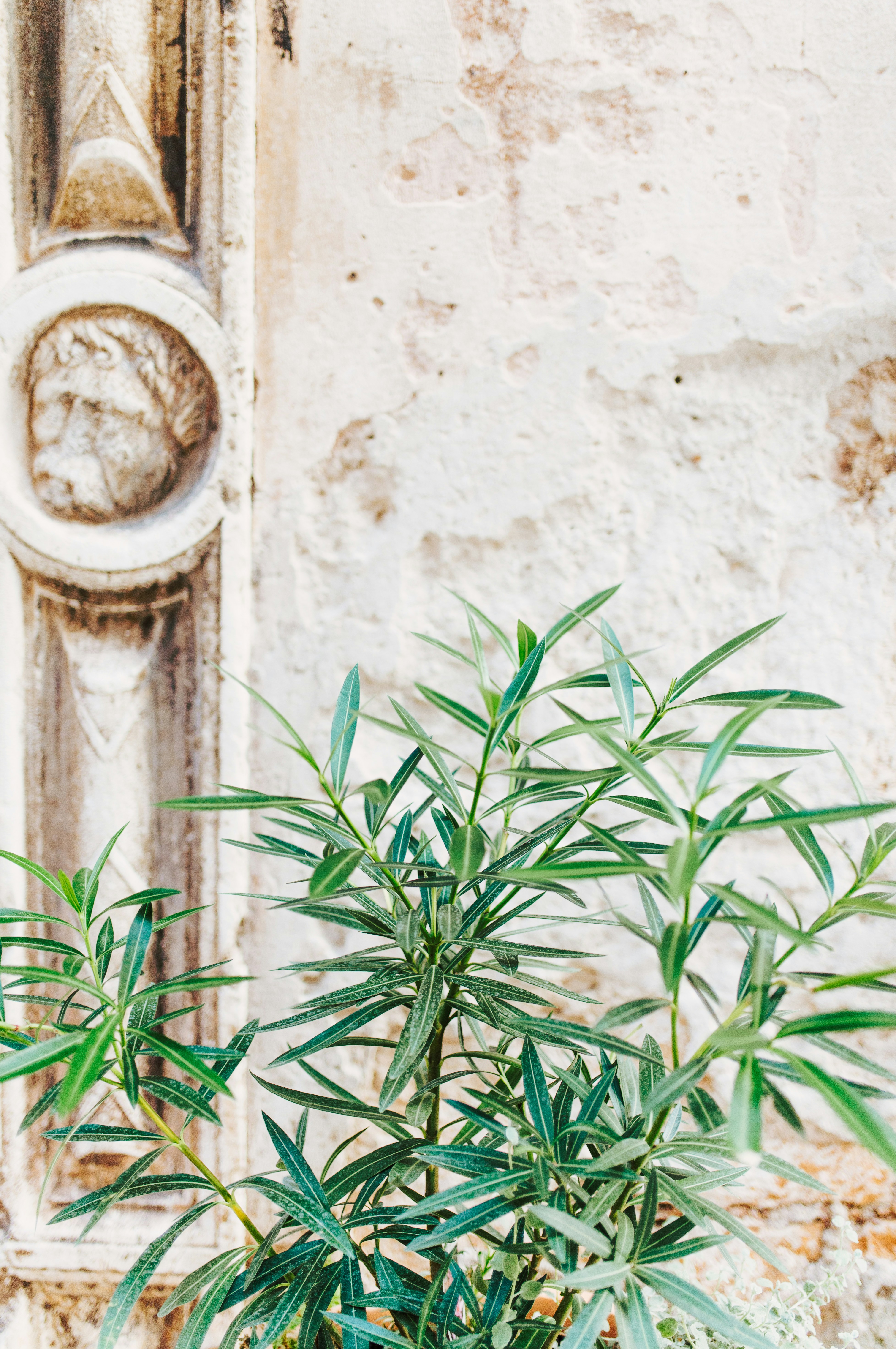 Photo by charlotablunarova