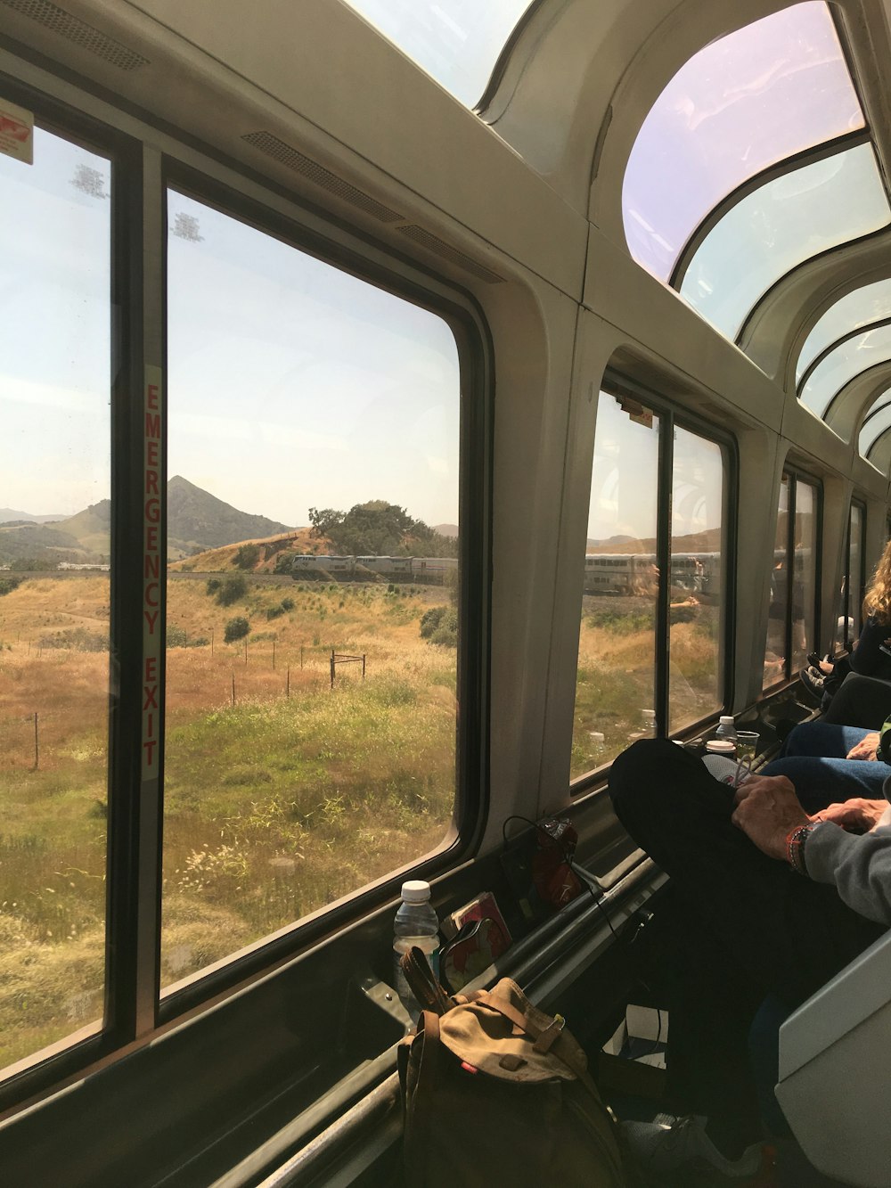 person seated in train