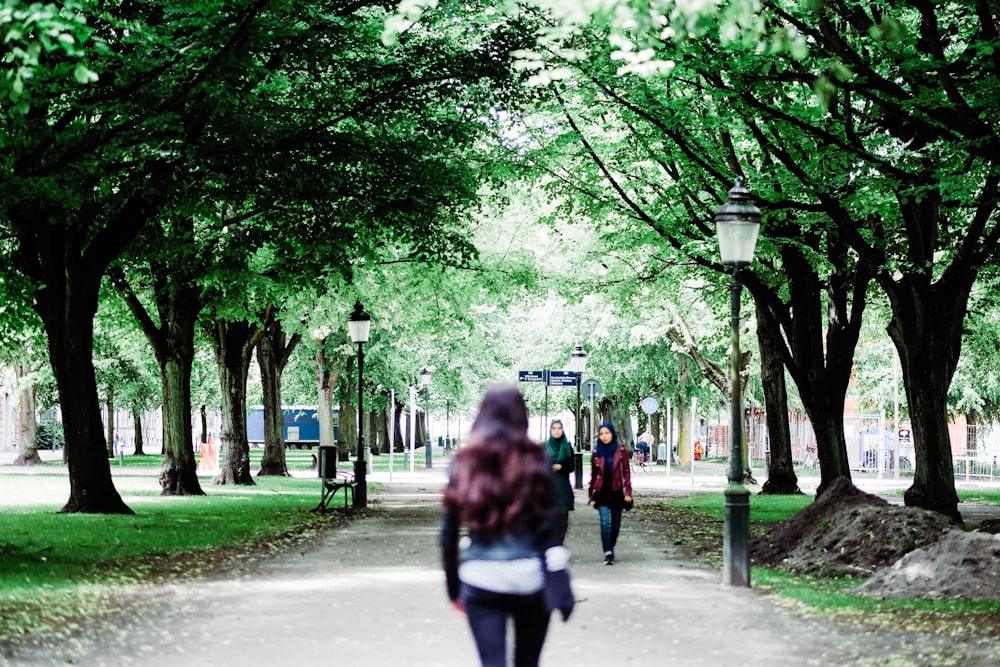 woman walking between green leafed trees