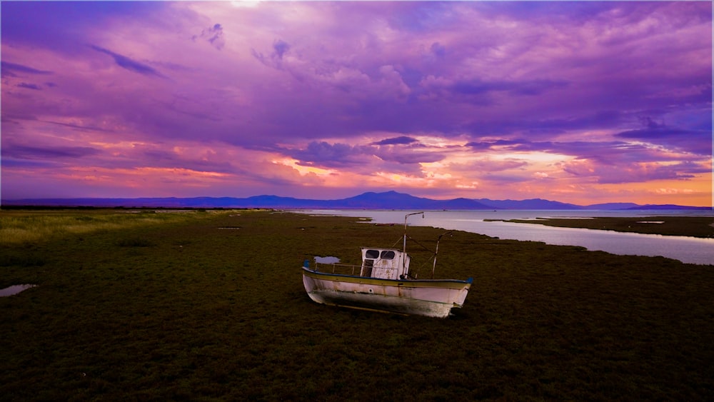 white boat on grass field