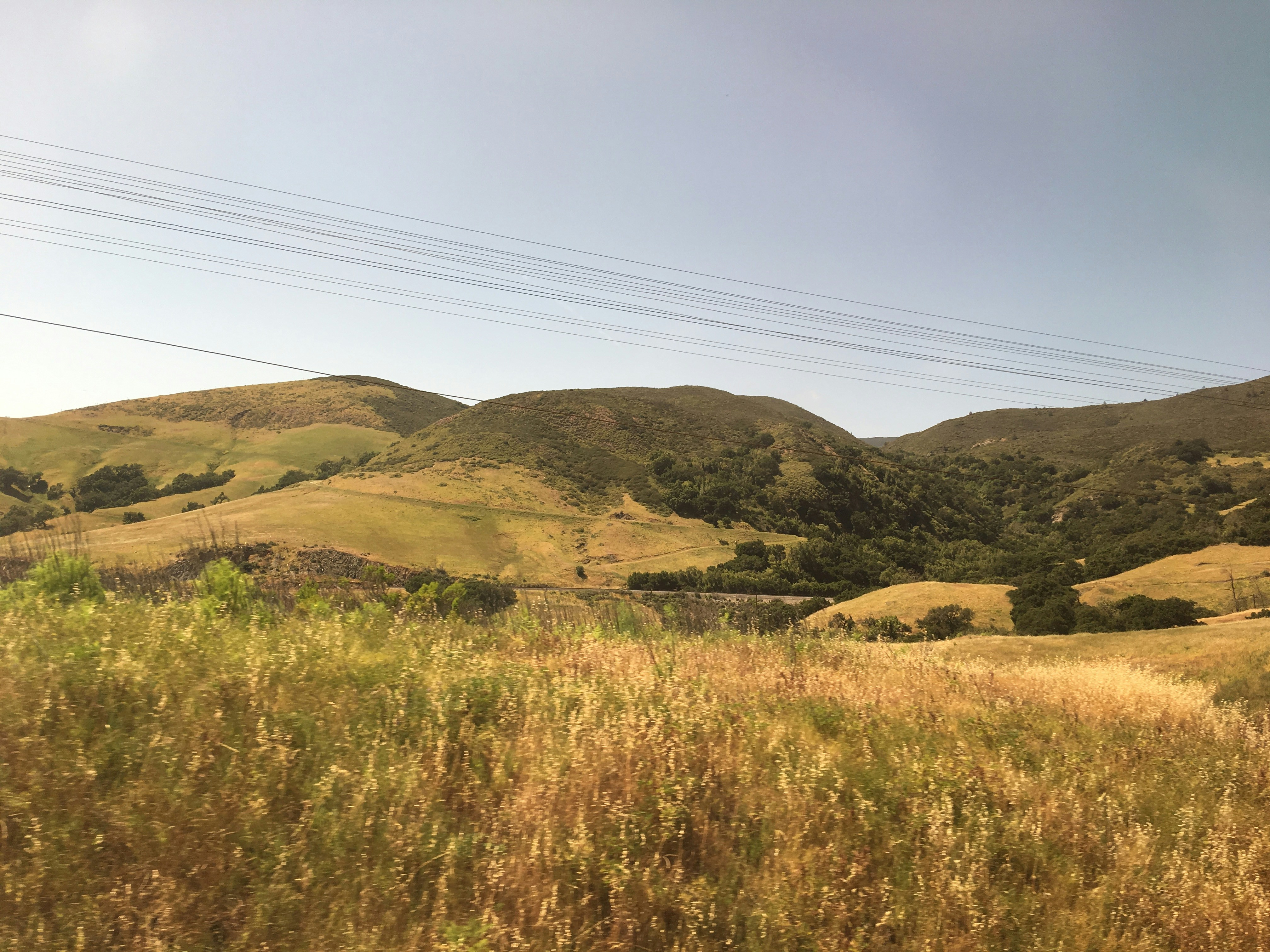 Photo by maiquynhtruong