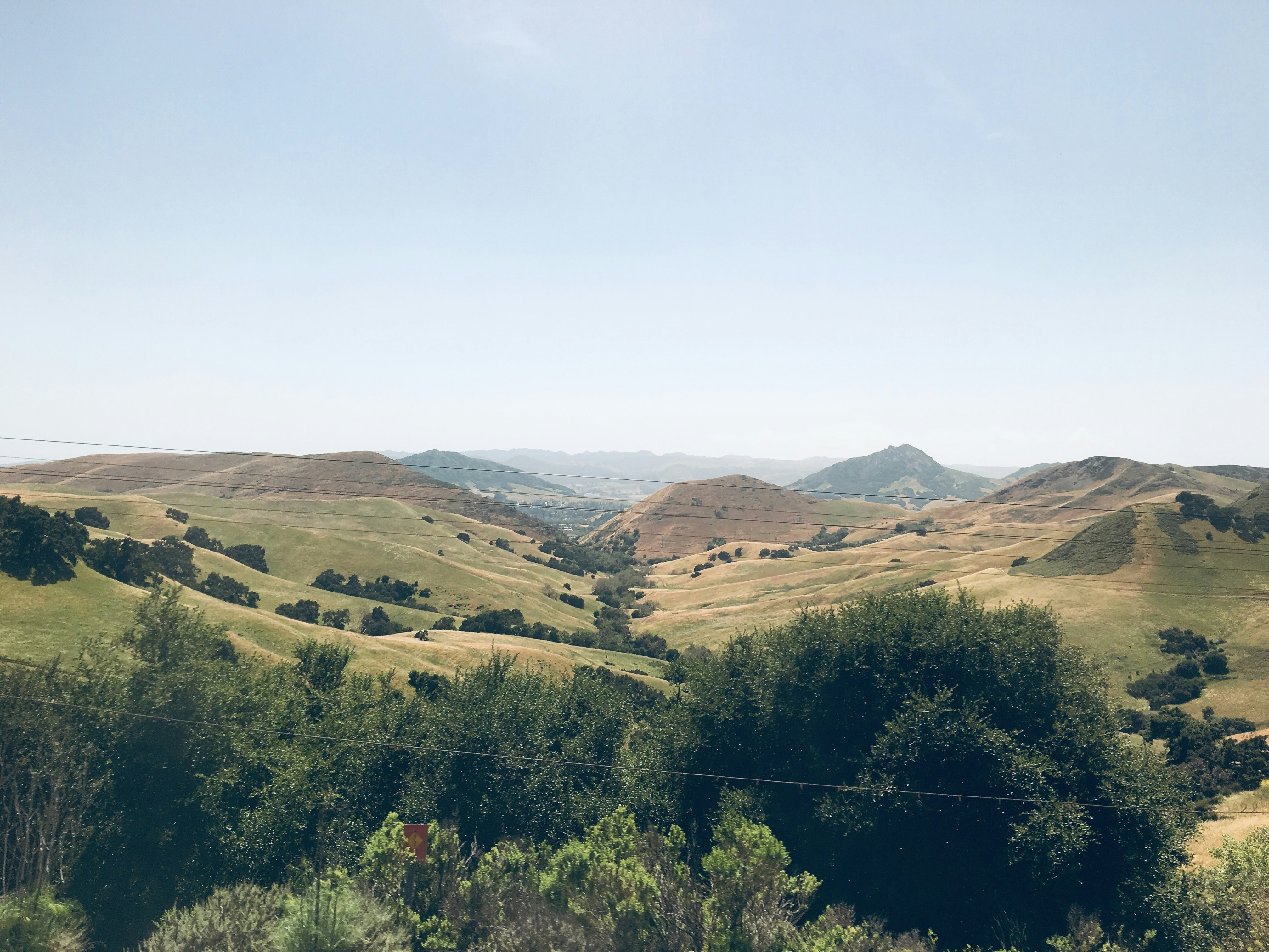 Photo by maiquynhtruong