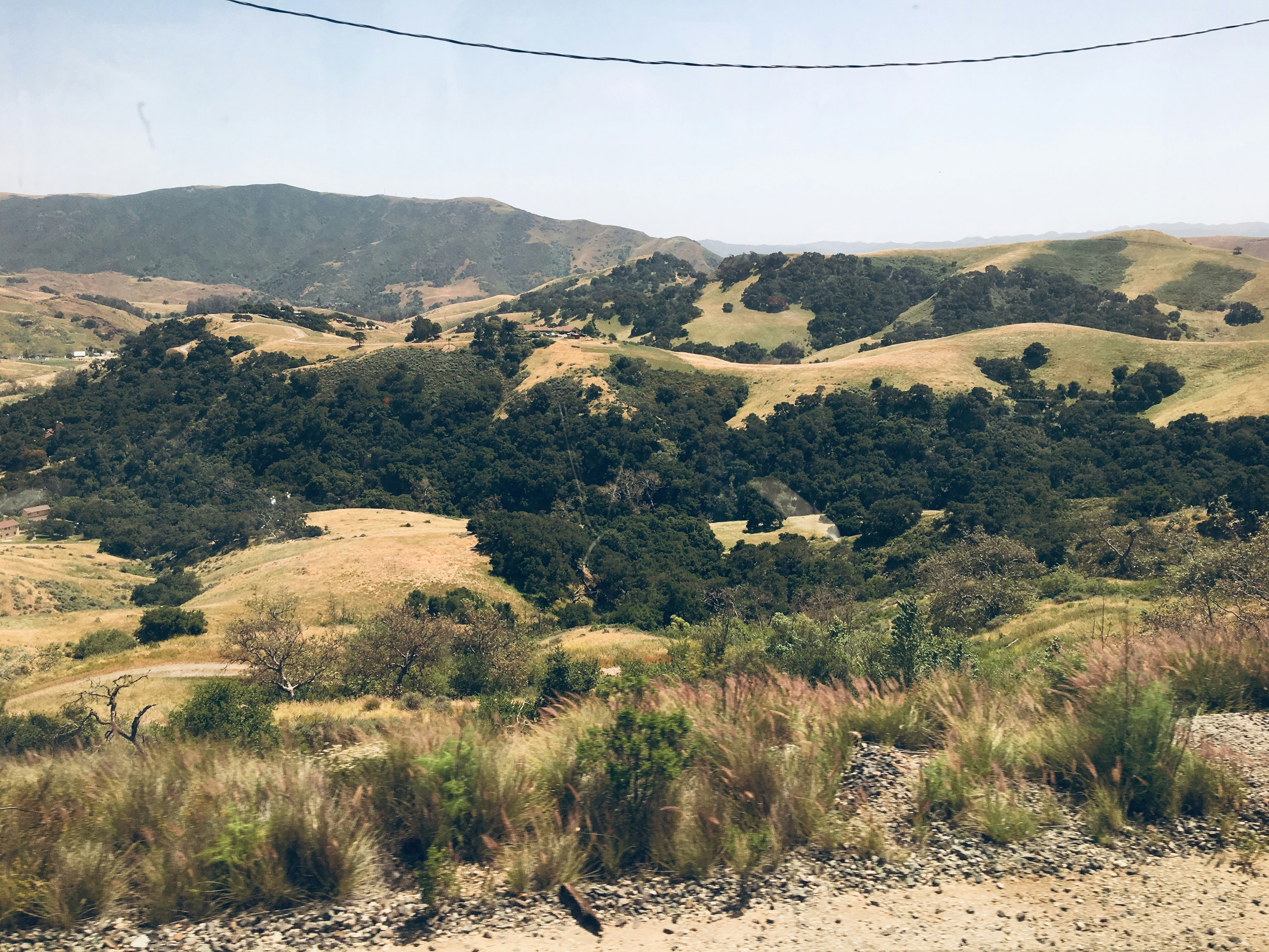 Photo by maiquynhtruong