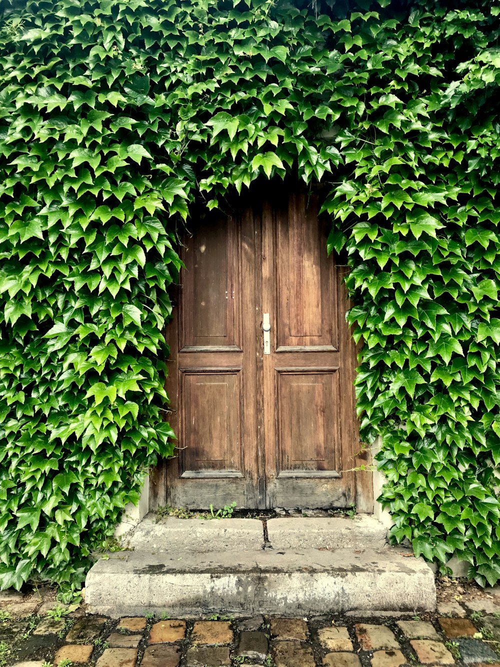 closed brown wooden door