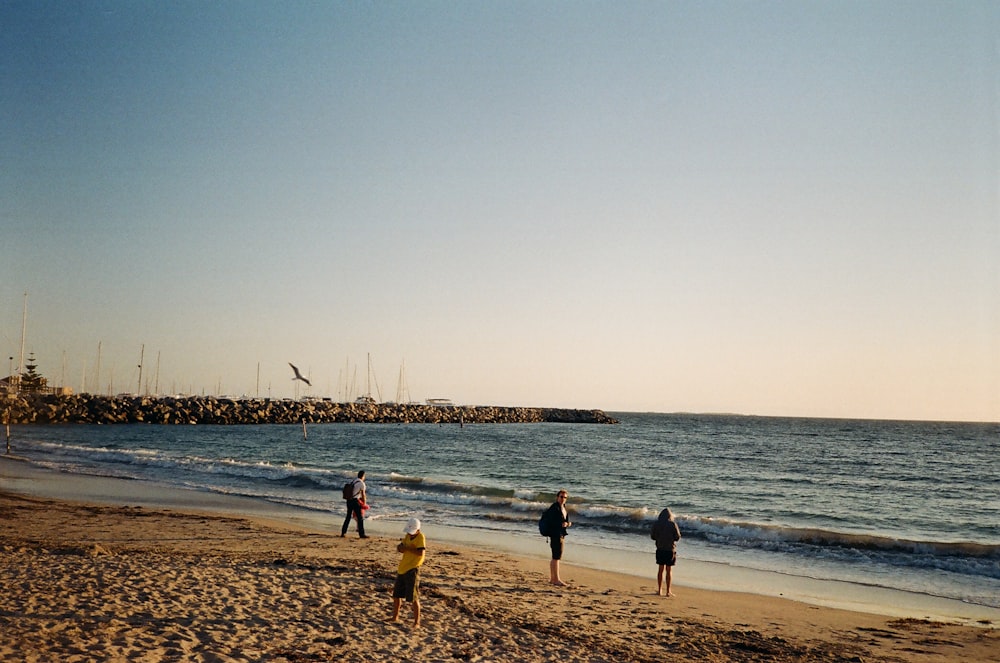 people walking on seashore during daytime