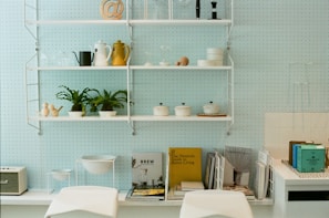 A neatly organized kitchen or dining area features white shelving on a light blue pegboard wall. The shelves hold various items such as metal and ceramic teapots, glassware, and potted plants. Below the shelves, there's a counter with books and magazines, including titles like 'The Monocle Guide to Better Living' and 'Brew'. Other notable objects include a white radio and a set of white containers.