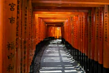 Torii path