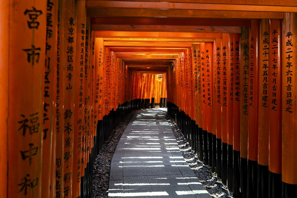 empty tunnel between red walls