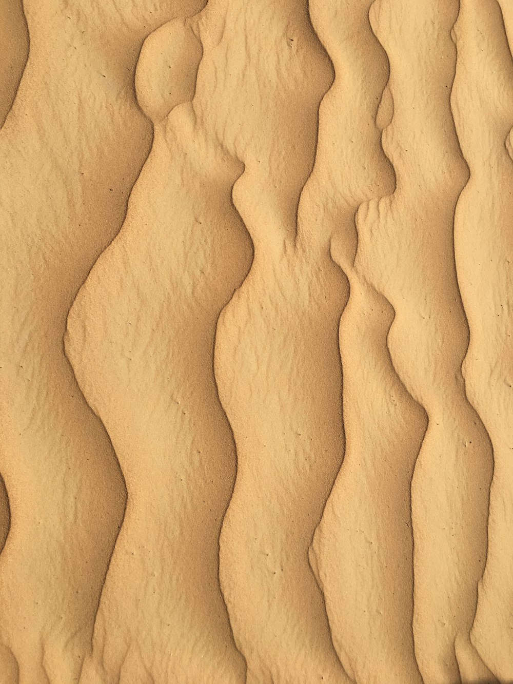 a close up of a sand dune with wavy lines