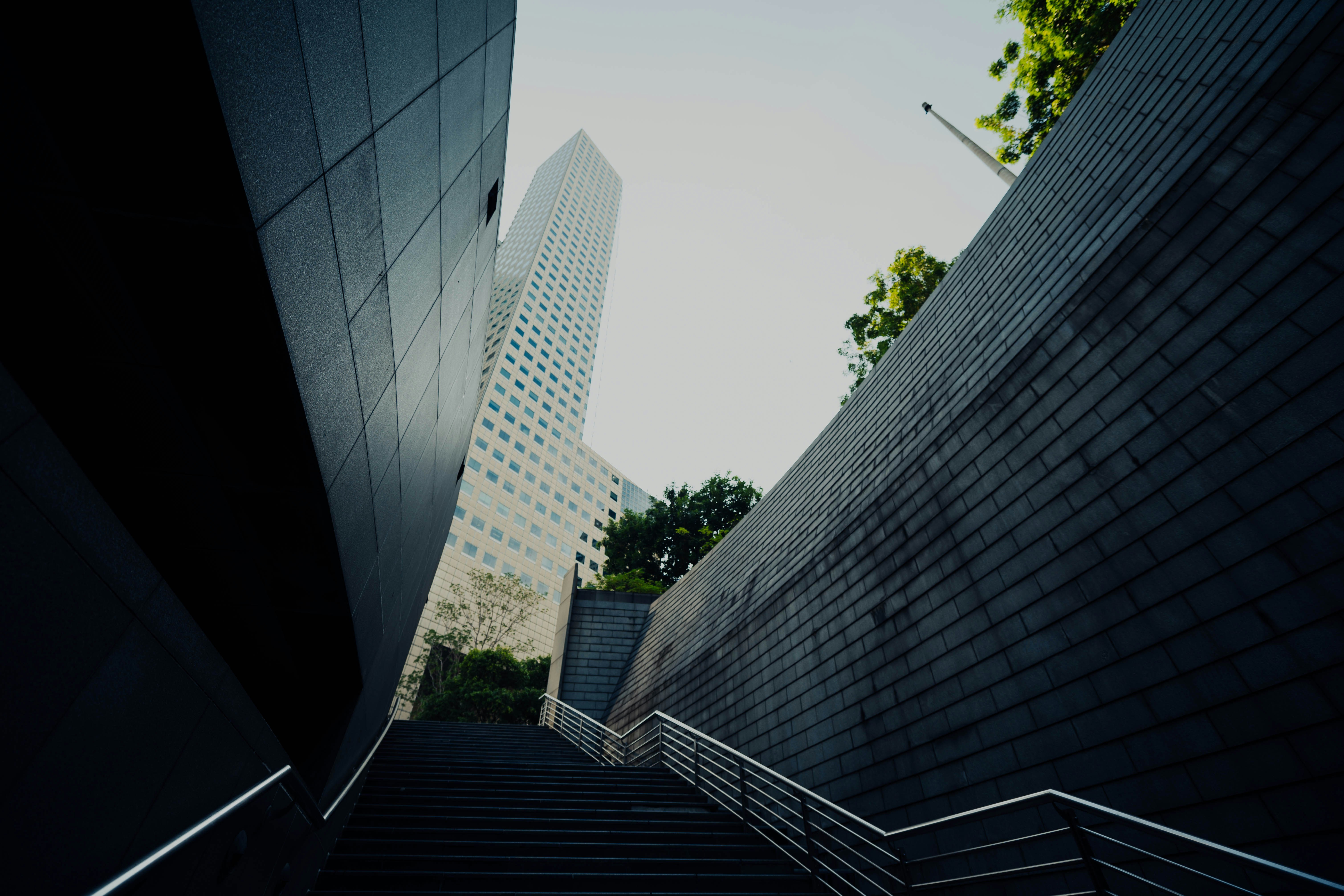 Photo by chuttersnap