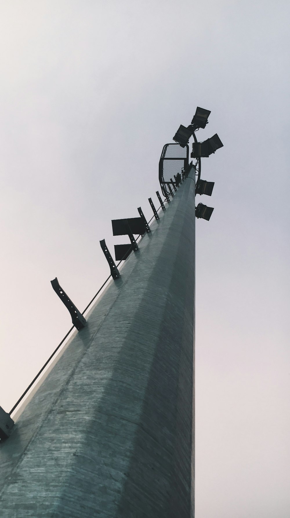 Fotografia di vista dell'occhio del verme della torre