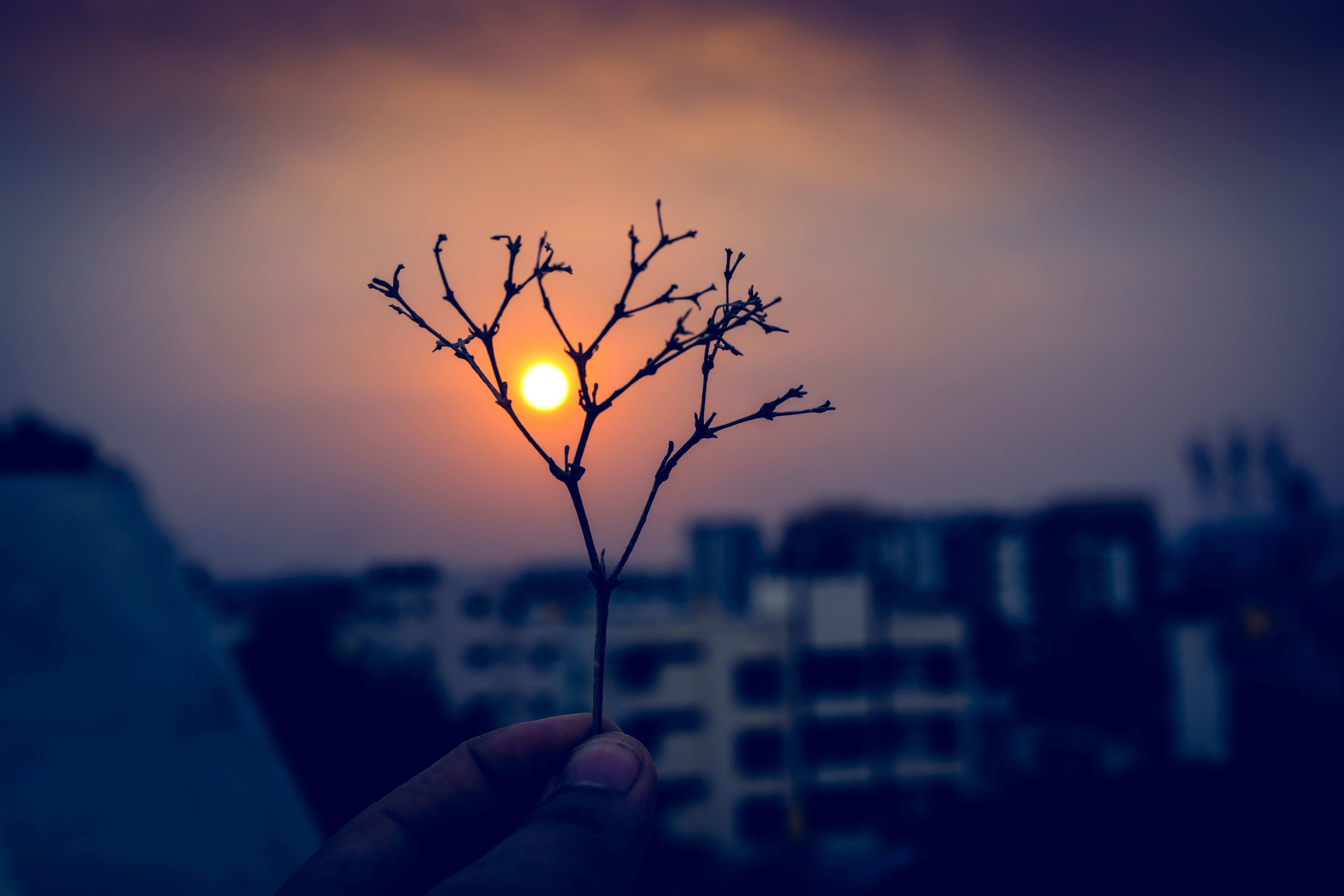 Viacoin header image