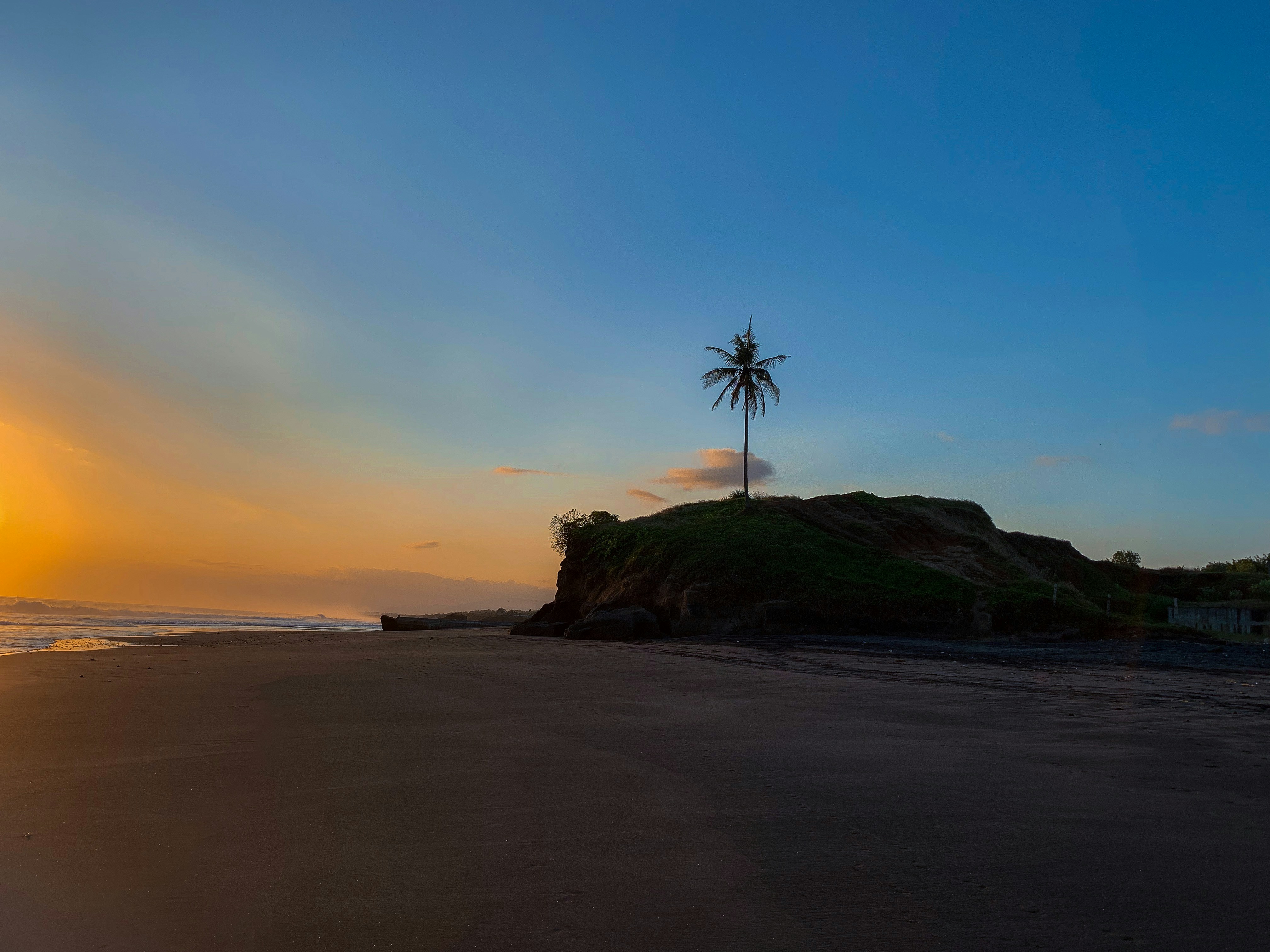 Lush tropical greenery in Bali