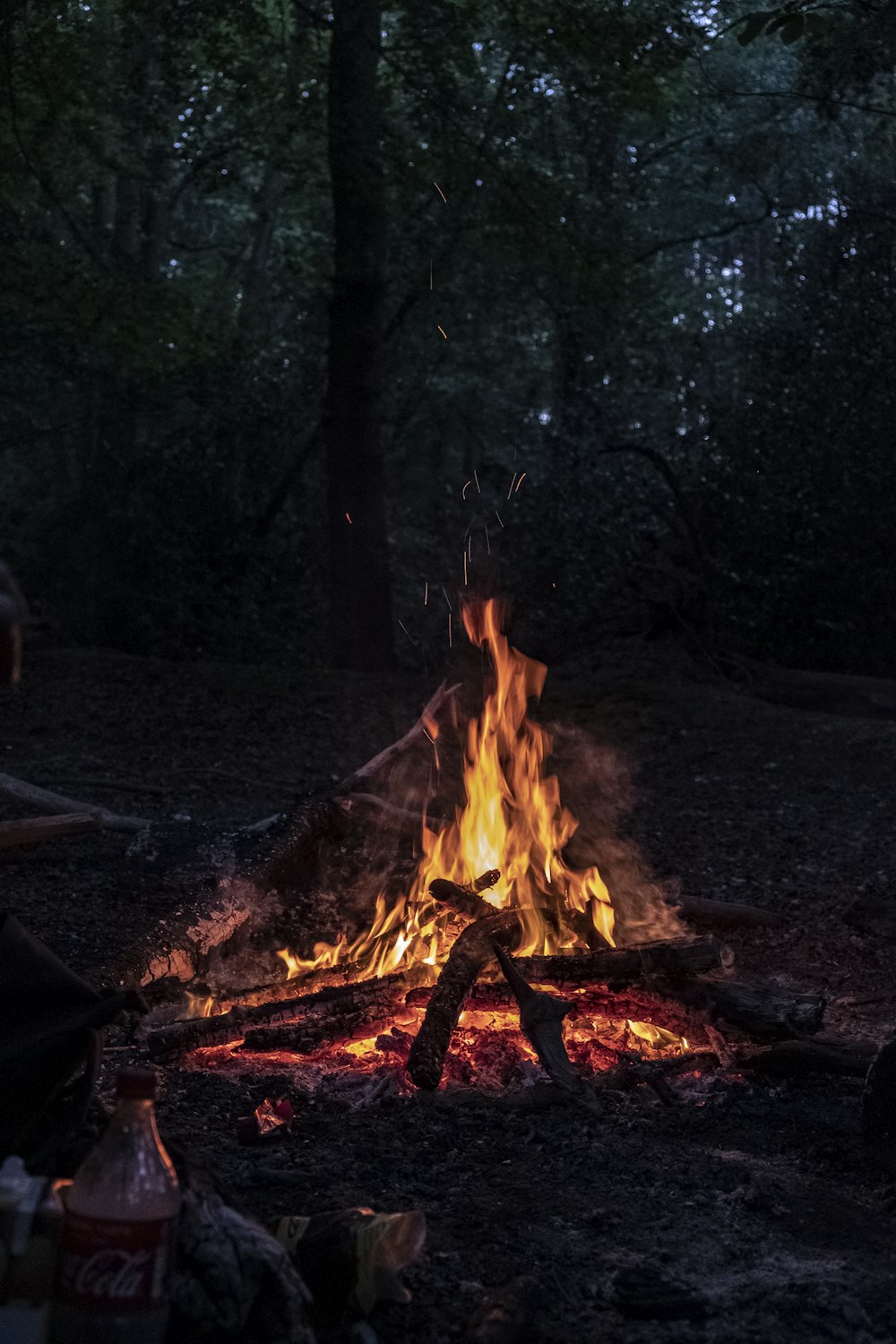 lit bonfire in woods