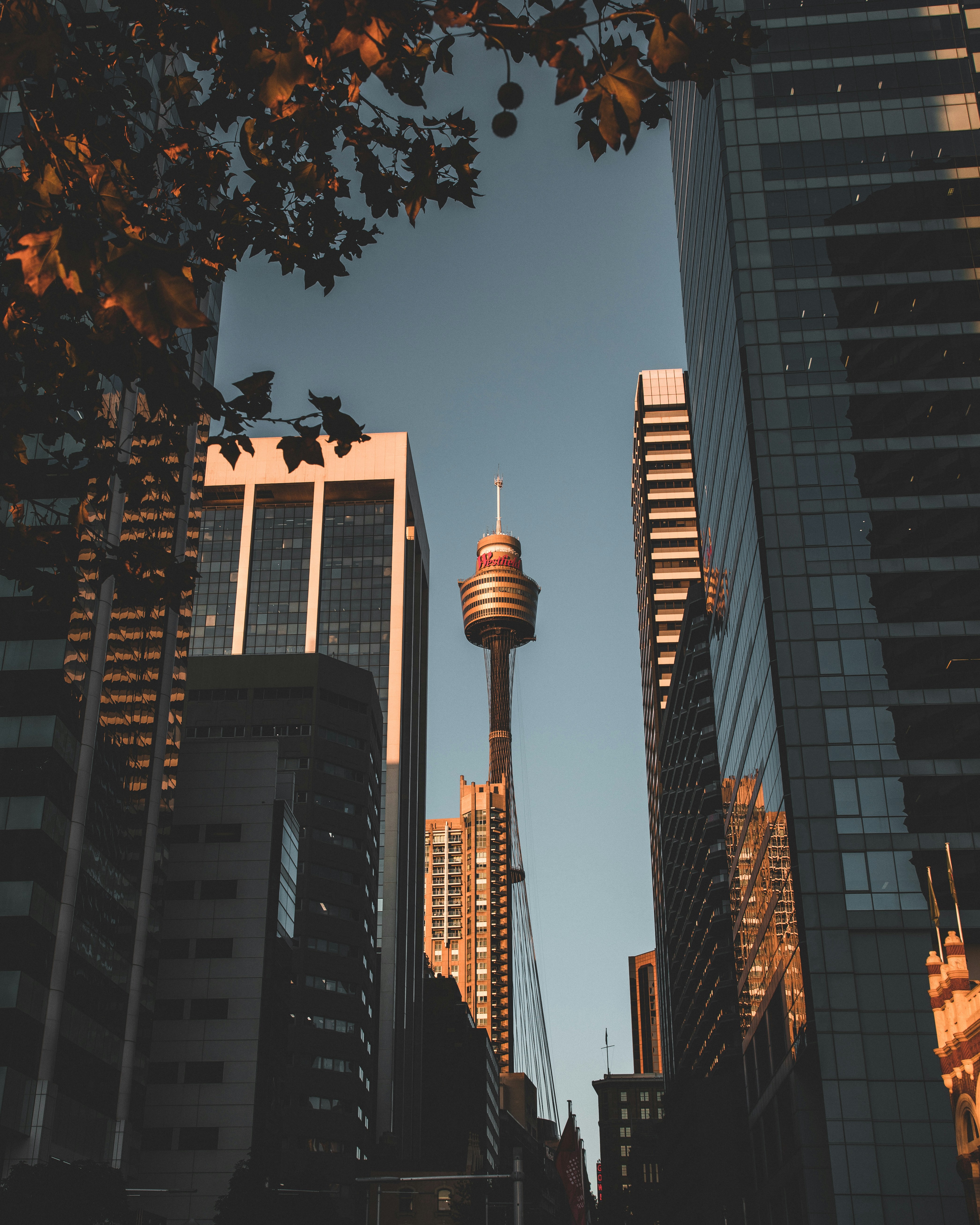 Photo by zhuzhutrain